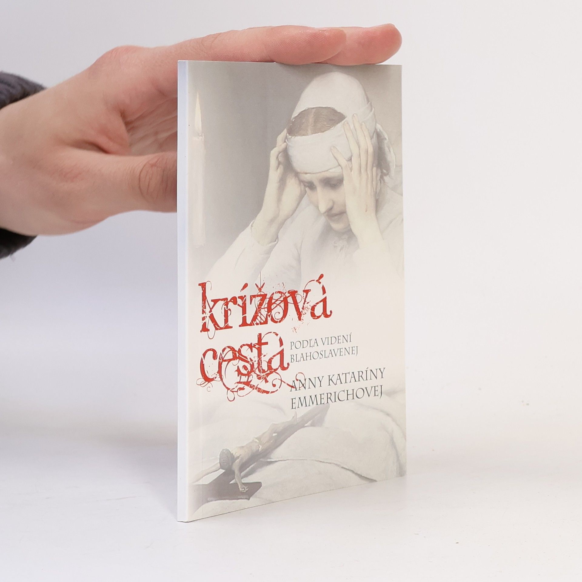 Kolektiv autorů Krížová cesta podľa videní blahoslavenej Anny Kataríny Emmerichovej