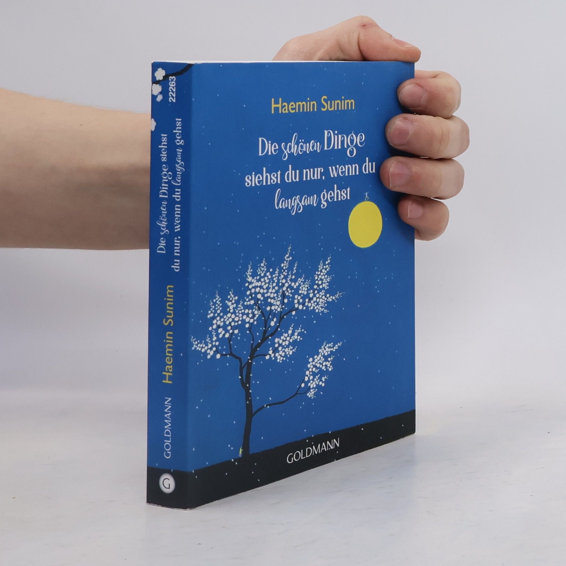 Sunim Haemin Die schönen Dinge siehst du nur, wenn du langsam gehst