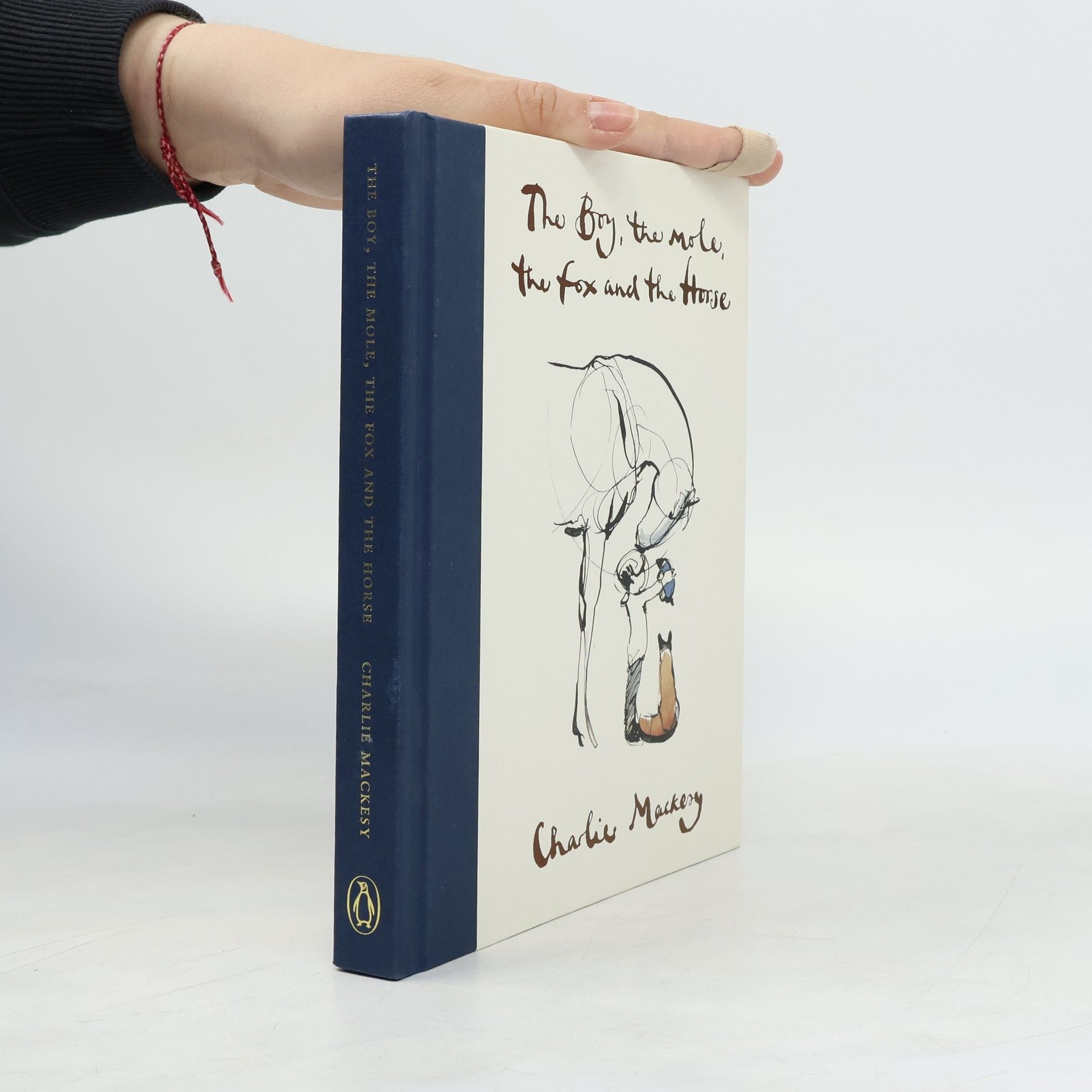 Charlie Mackesy The boy, the mole, the fox and the horse