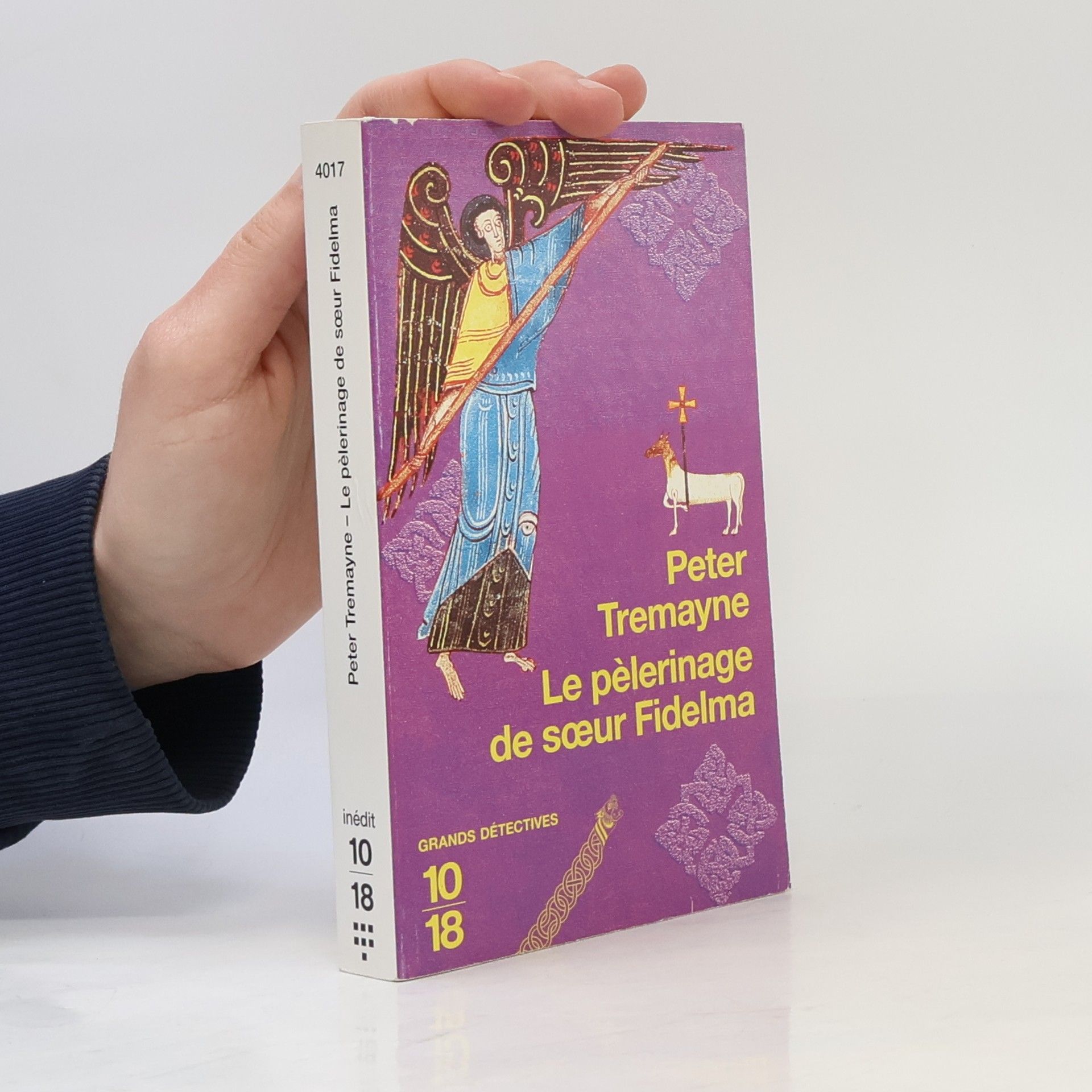 Peter Berresford Ellis Le pèlerinage de sœur Fidelma