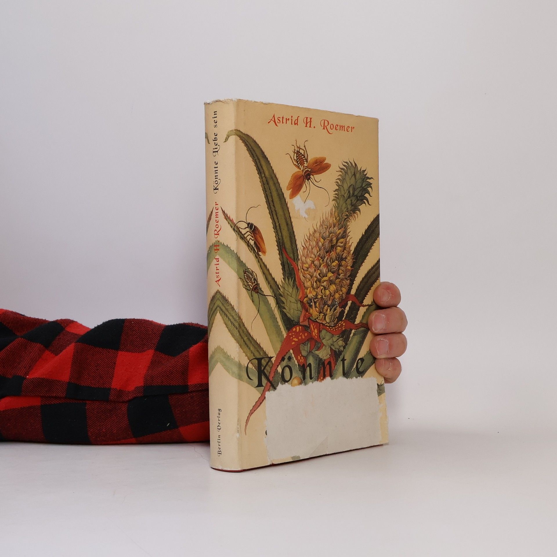 Astrid Roemer Könnte Liebe sein