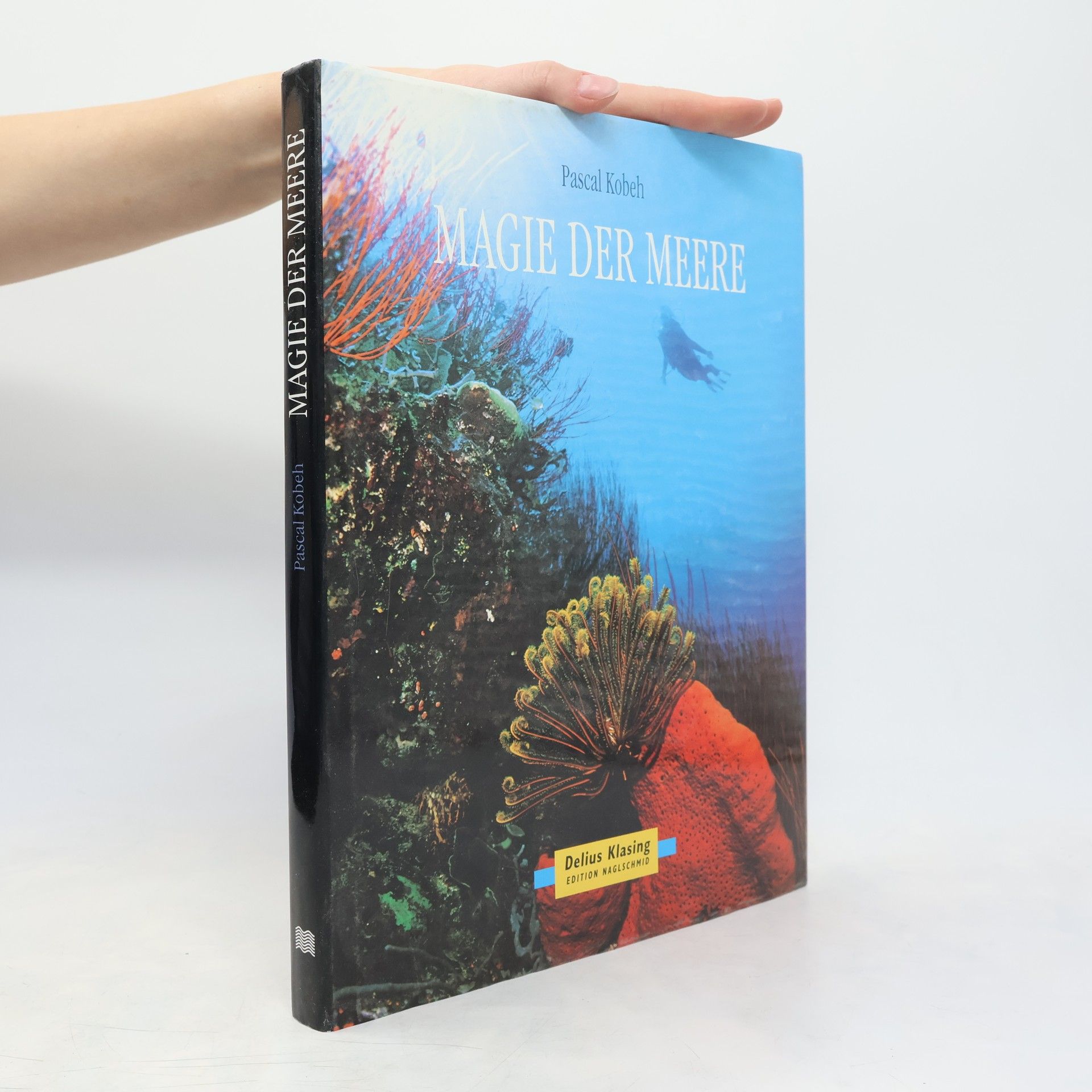 Pascal Kobeh Magie der Meere