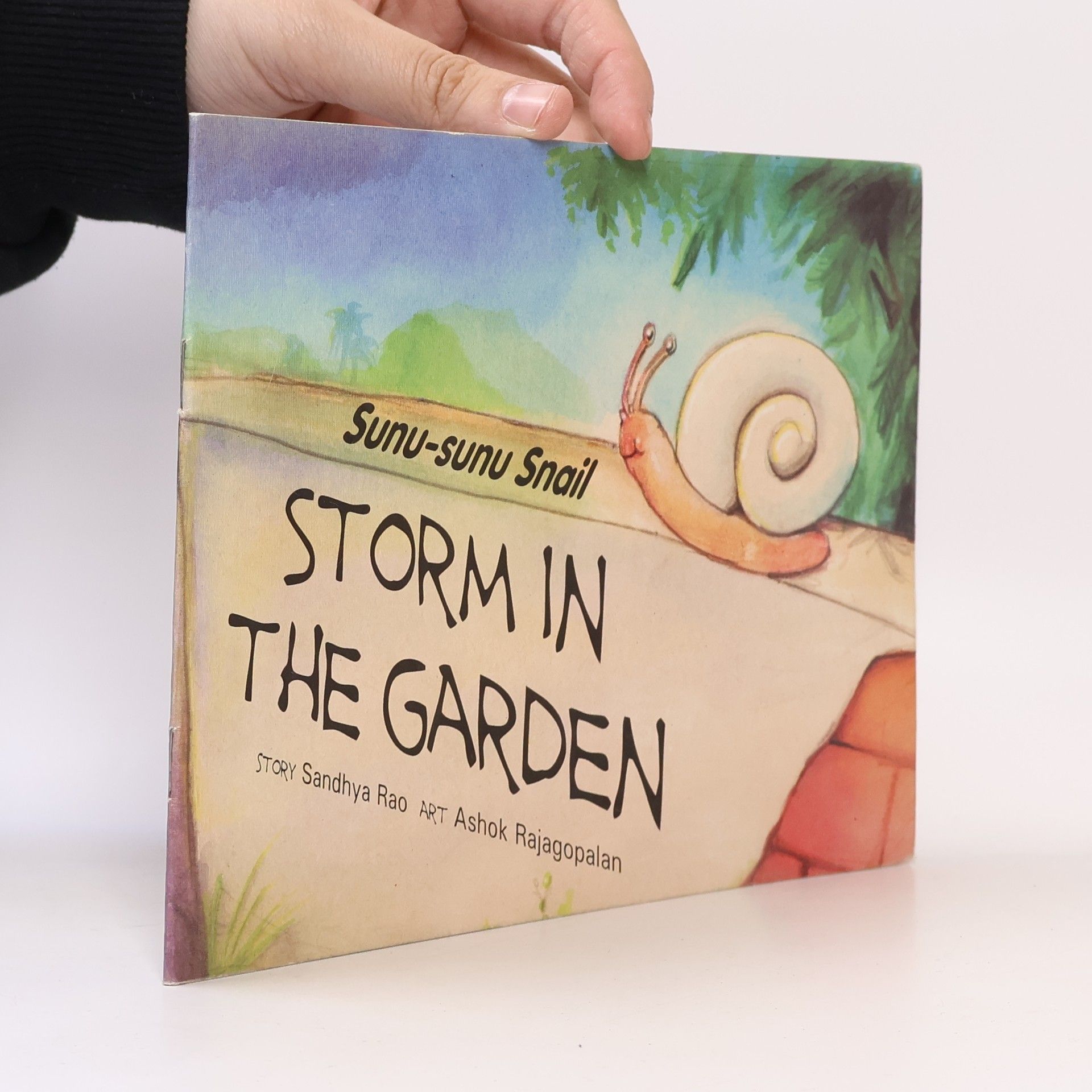 Sandhya Rao Storm in the garden