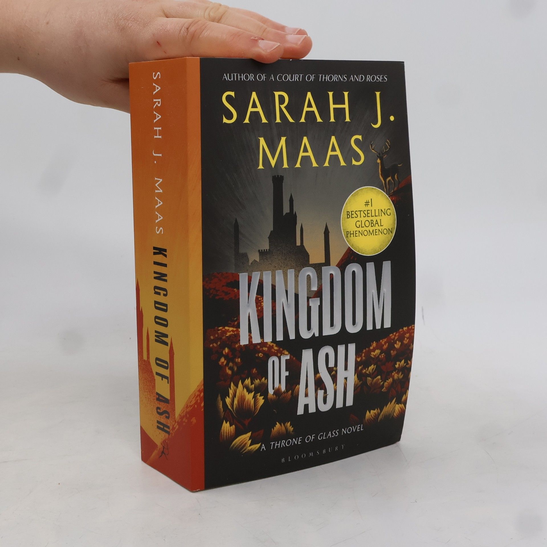 Sarah J. Maas Kingdom of Ash