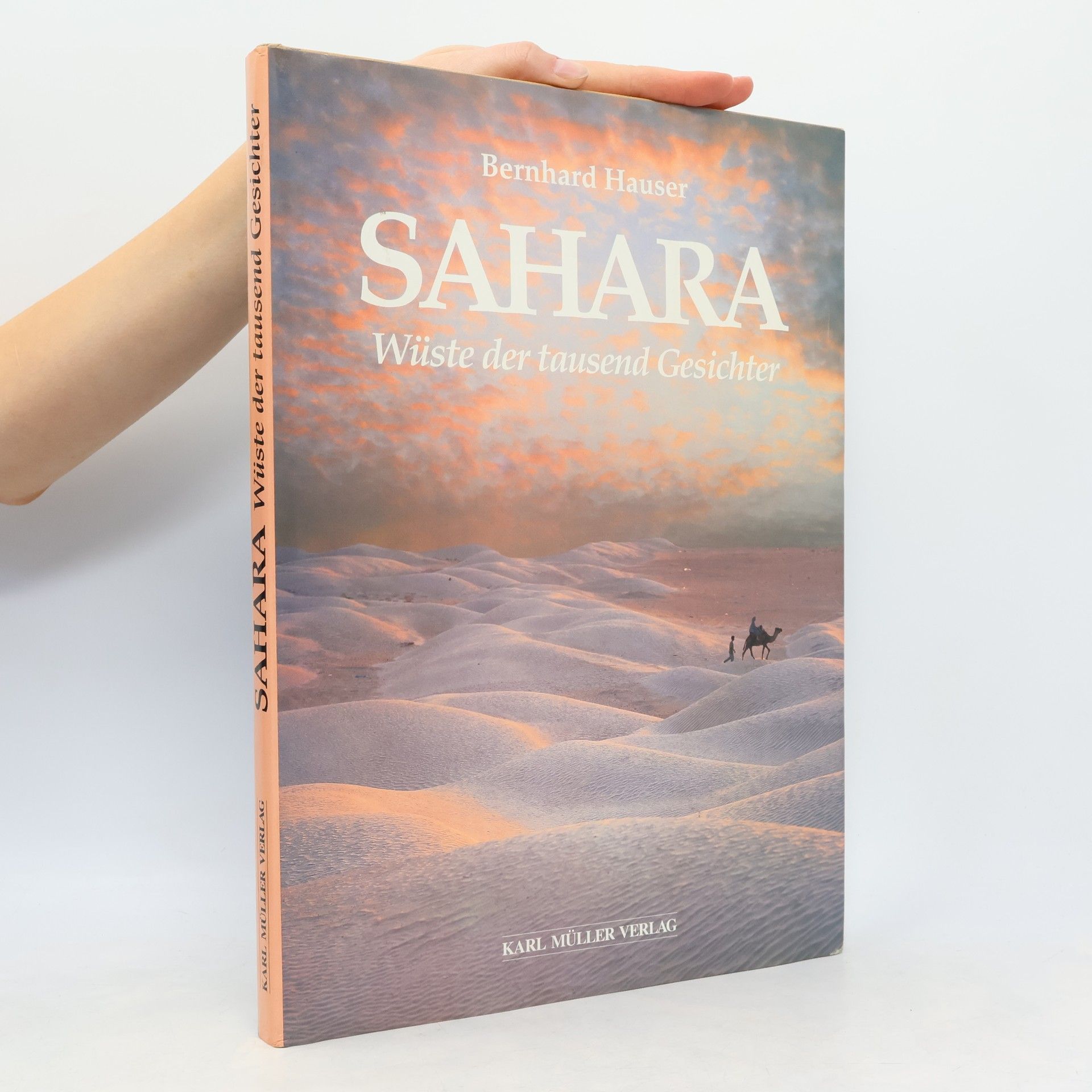 Bernhard Hauser Sahara