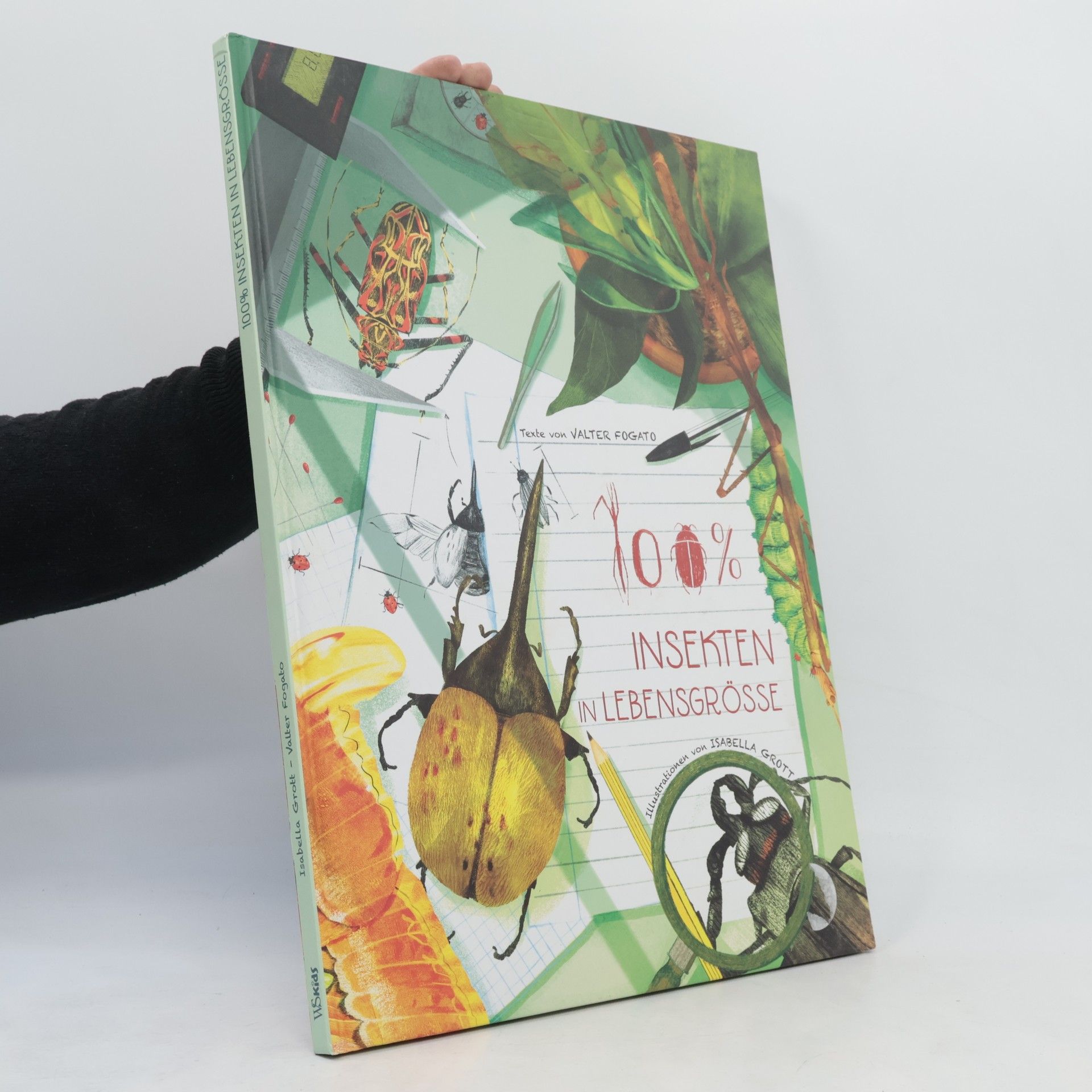 Valter Fogato 100% Insekten in Lebensgröße