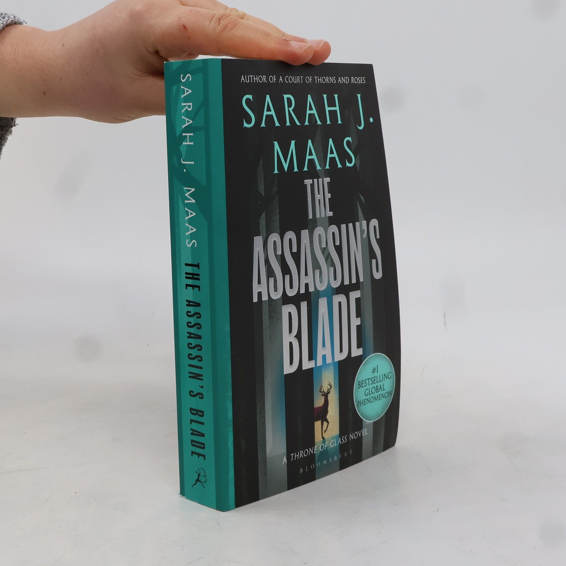 Sarah J. Maas The Assassin's Blade