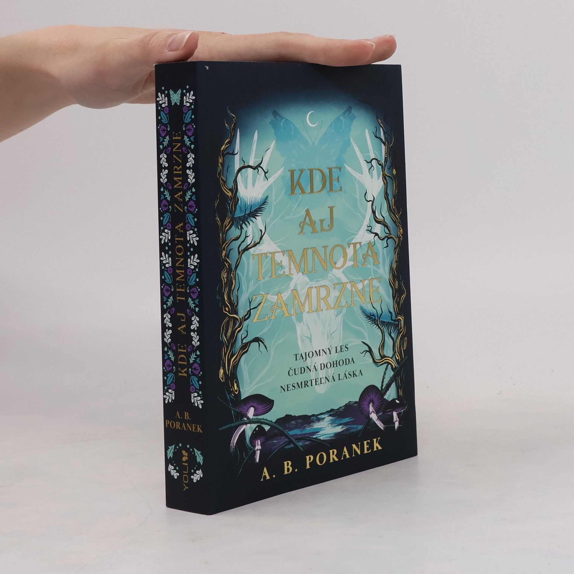 A. B. Poranek Kde aj temnota zamrzne