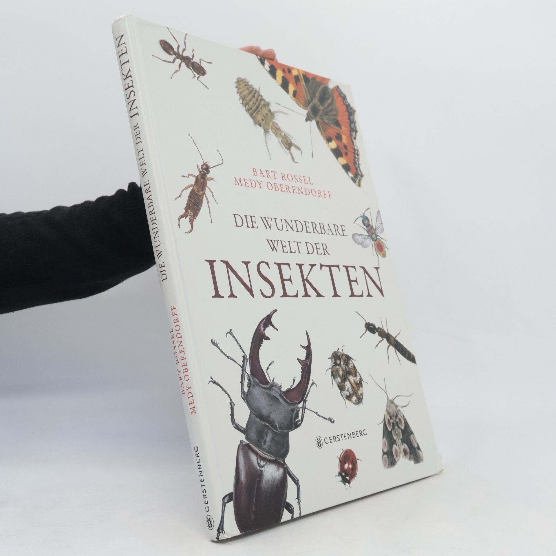 Medy Oberendorff Die wunderbare Welt der Insekten