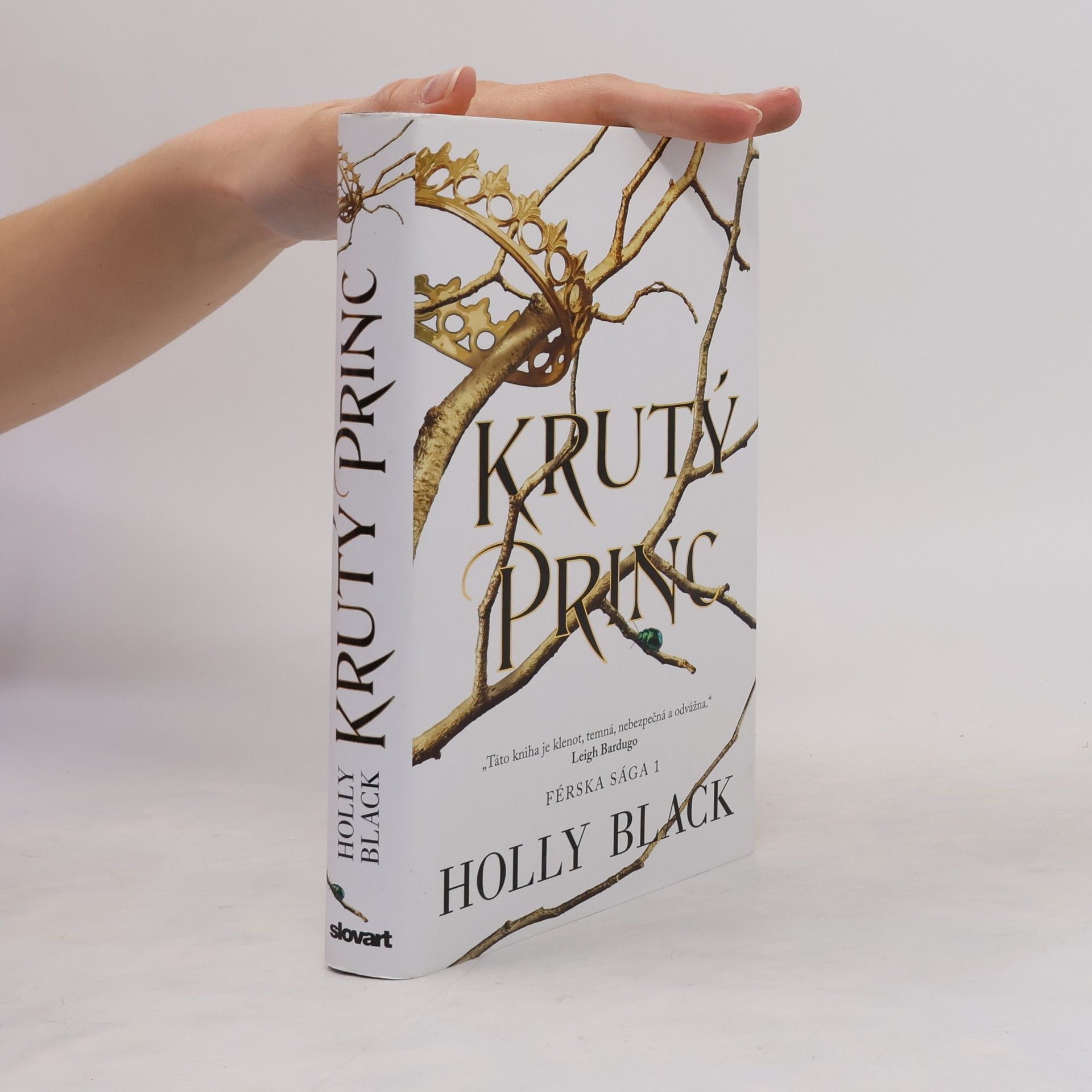 Holly Black Krutý princ