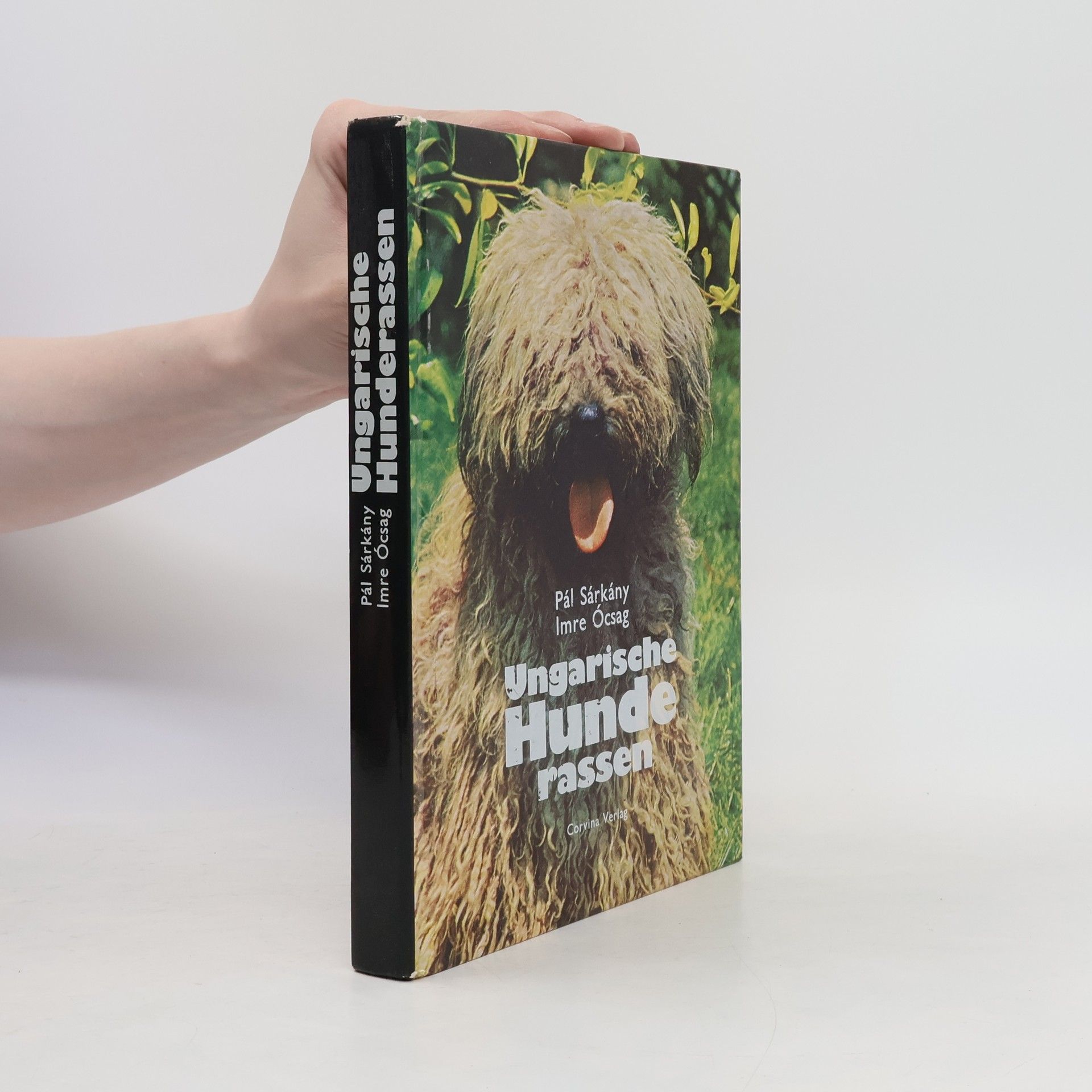 Imre Ócsag Ungarische Hunderassen