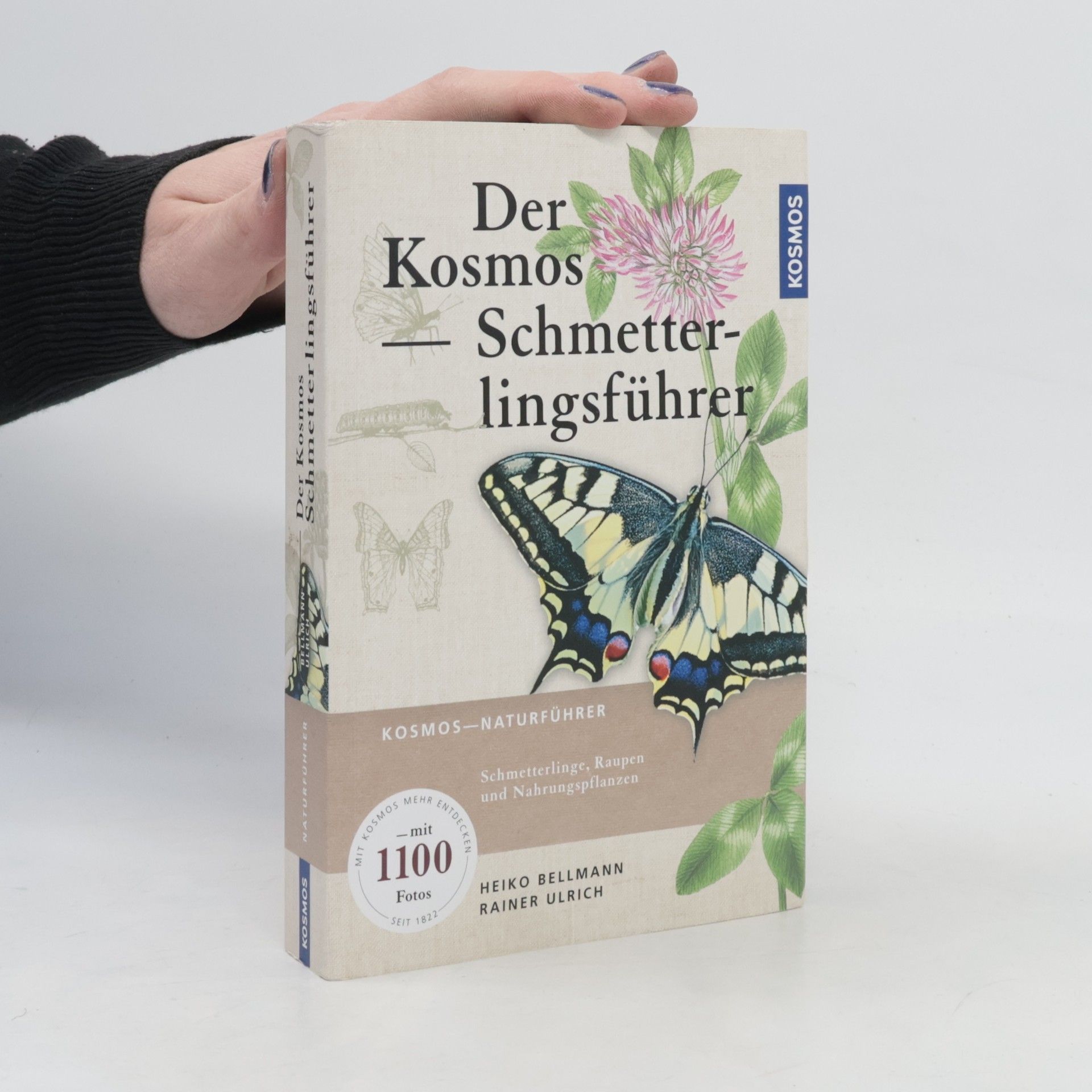 Der Kosmos Schmetterlingsführer