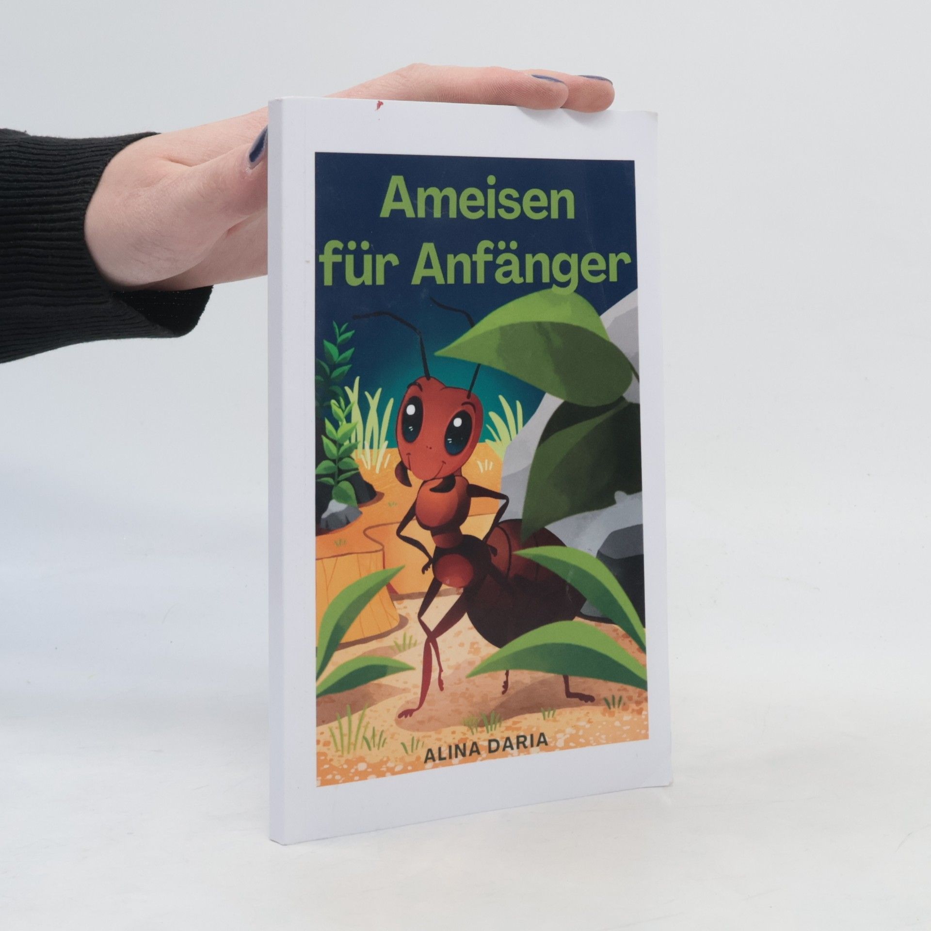 Ameisen für Anfänger