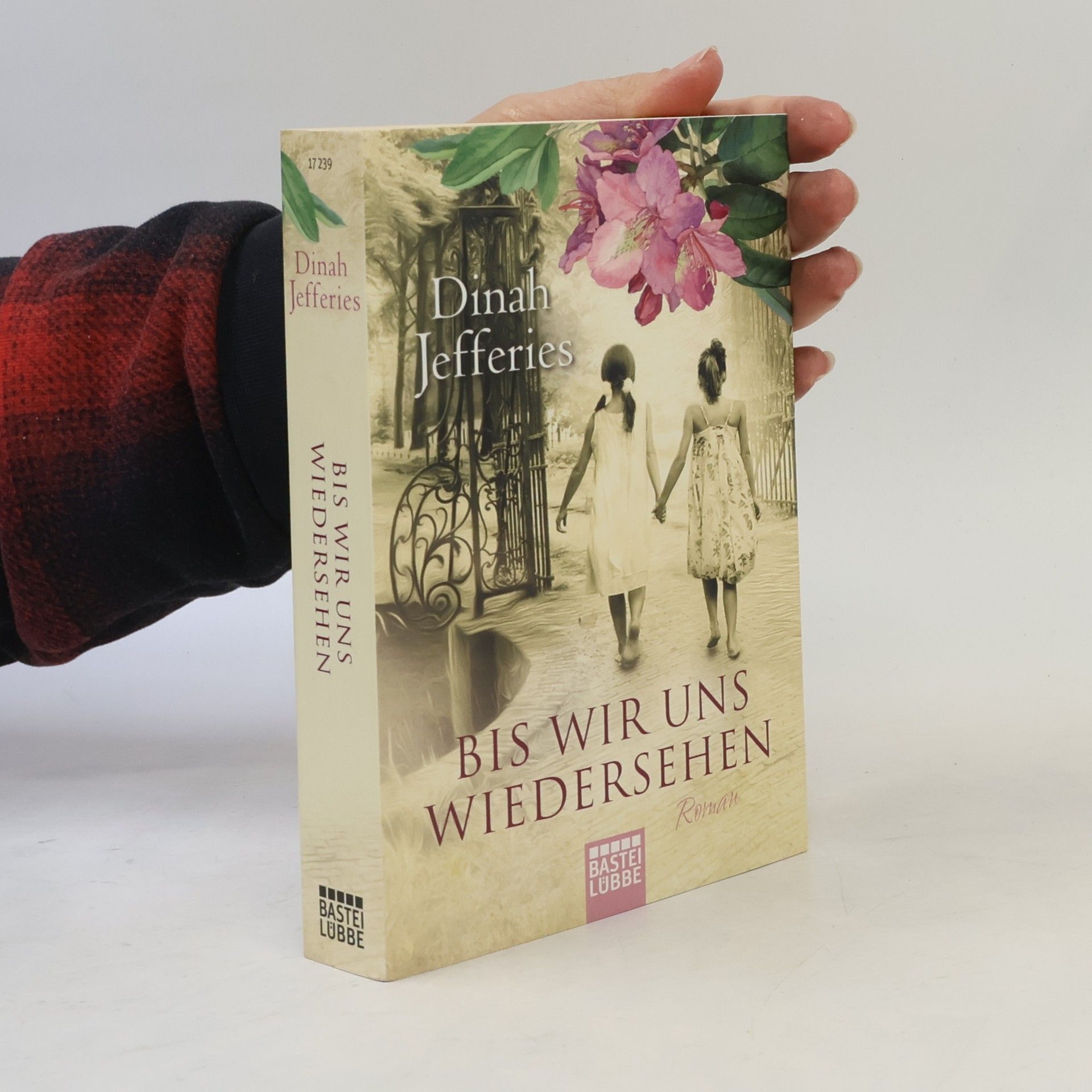 Dinah Jefferies Bis wir uns wiedersehen