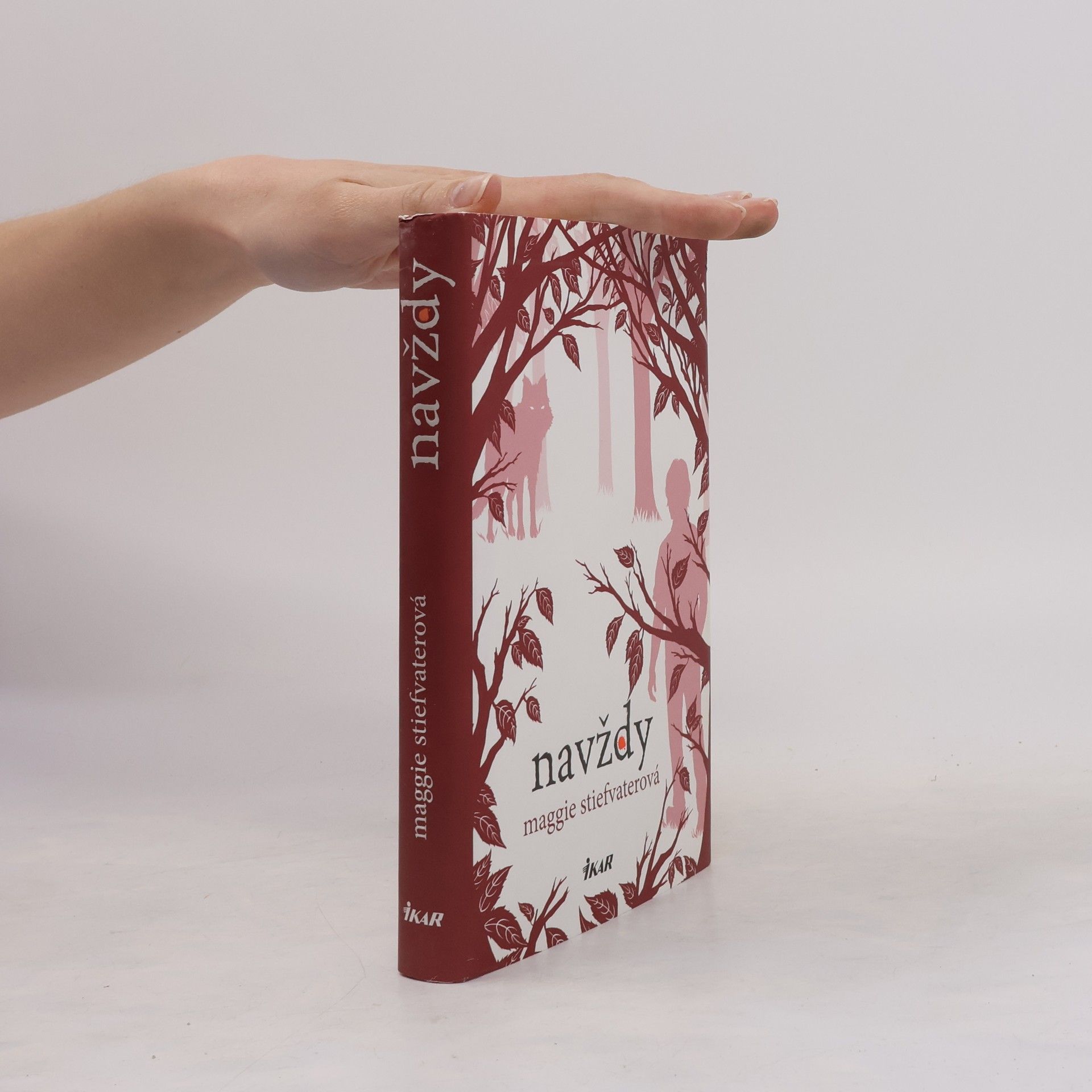 Maggie Stiefvater Navždy