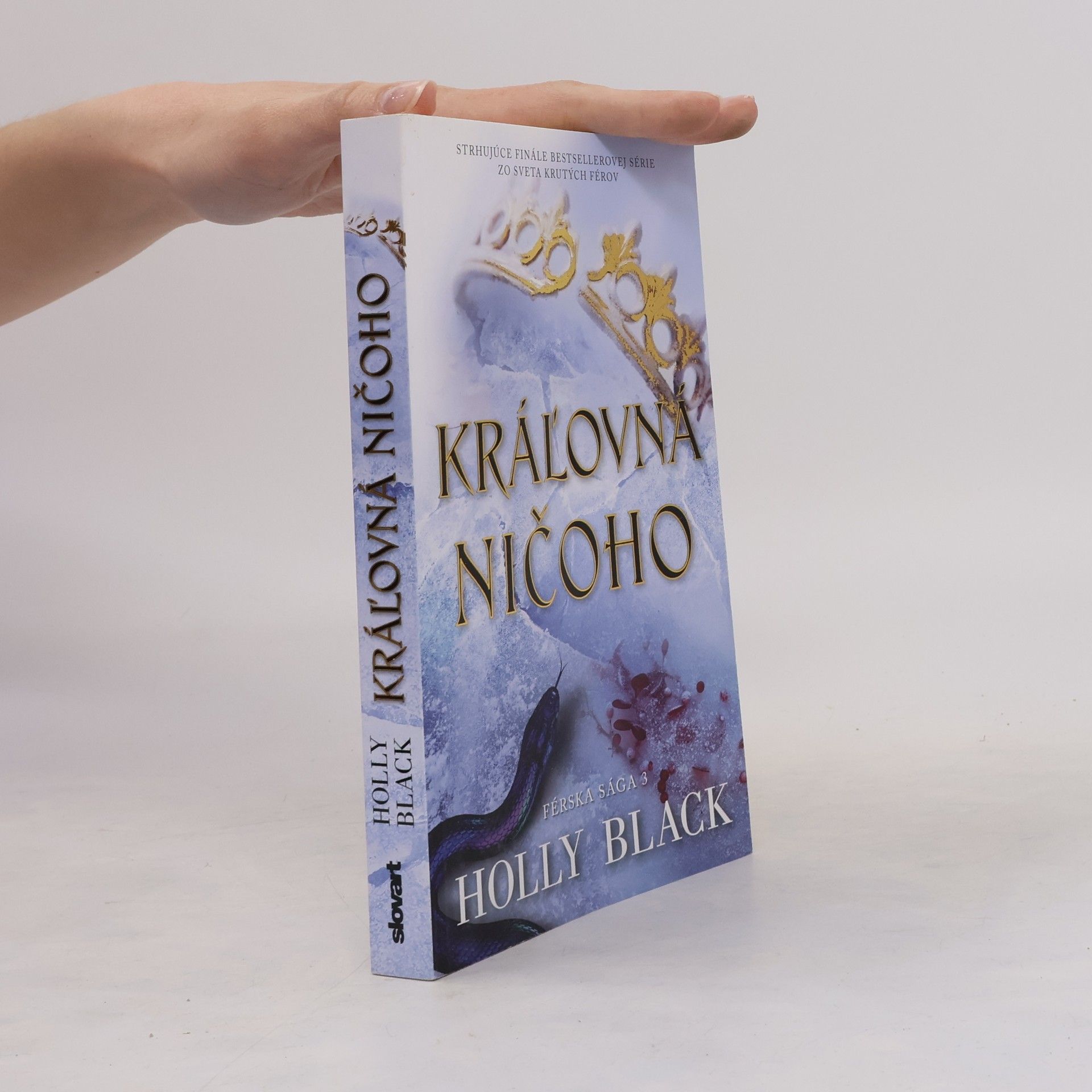 Holly Black Kráľovná ničoho