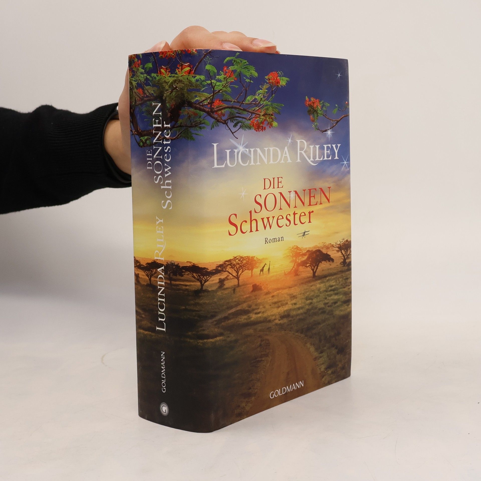 Lucinda Riley Die Sonnenschwester