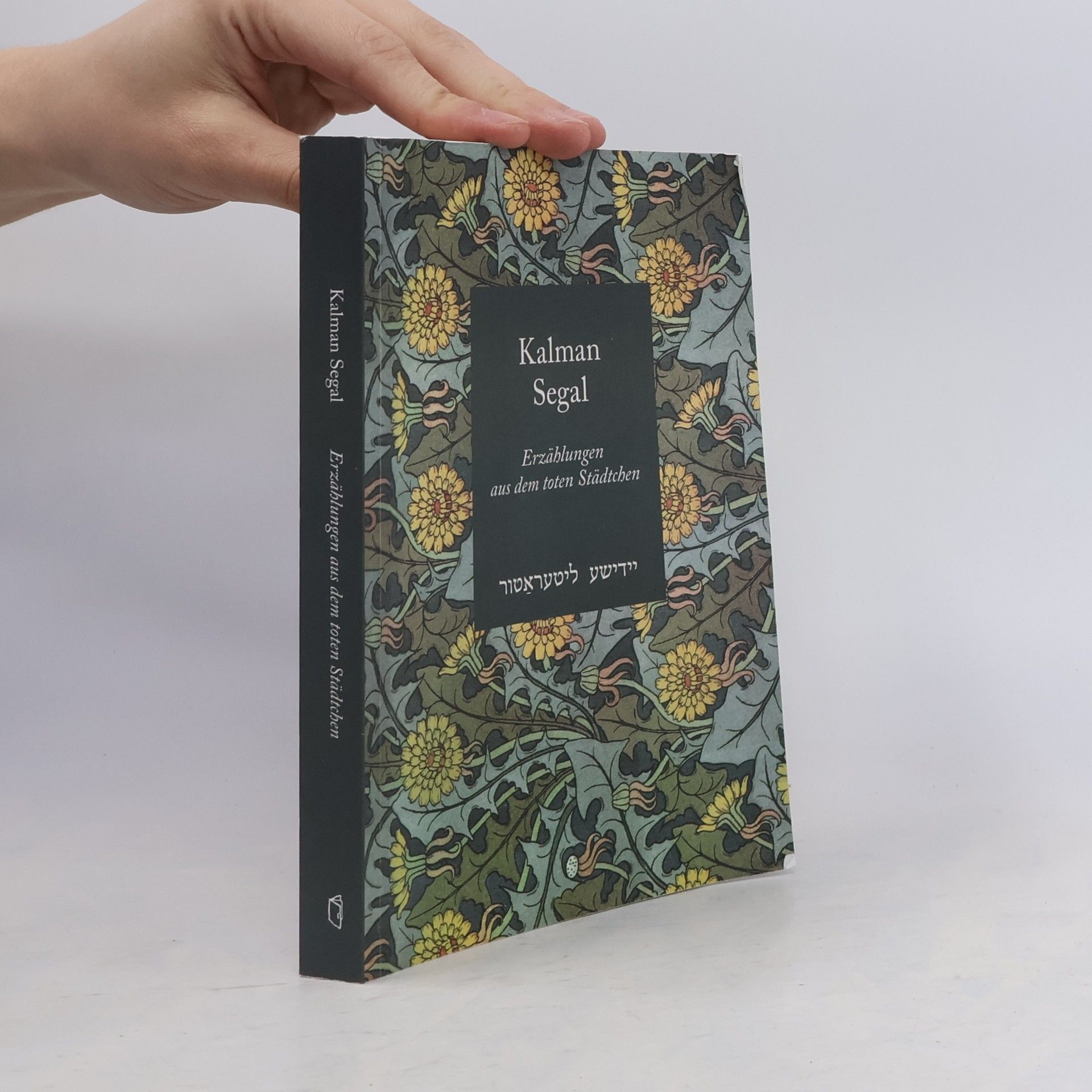 Magdalena Ruta Erzählungen aus dem toten Städtchen