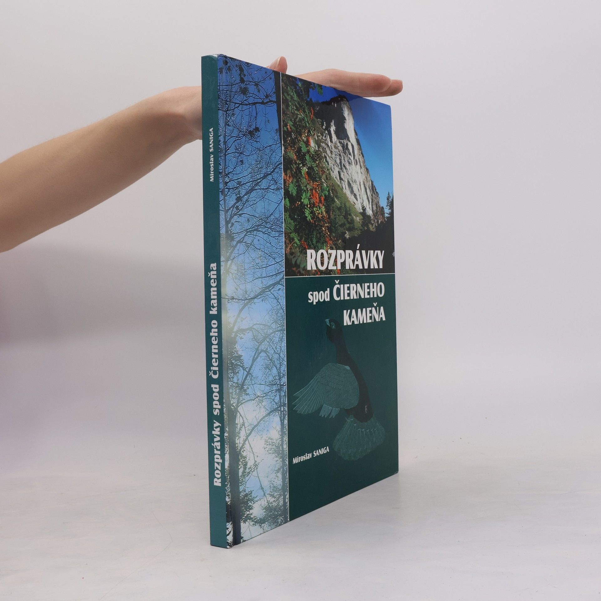 Rozprávky spod Čierneho kameňa