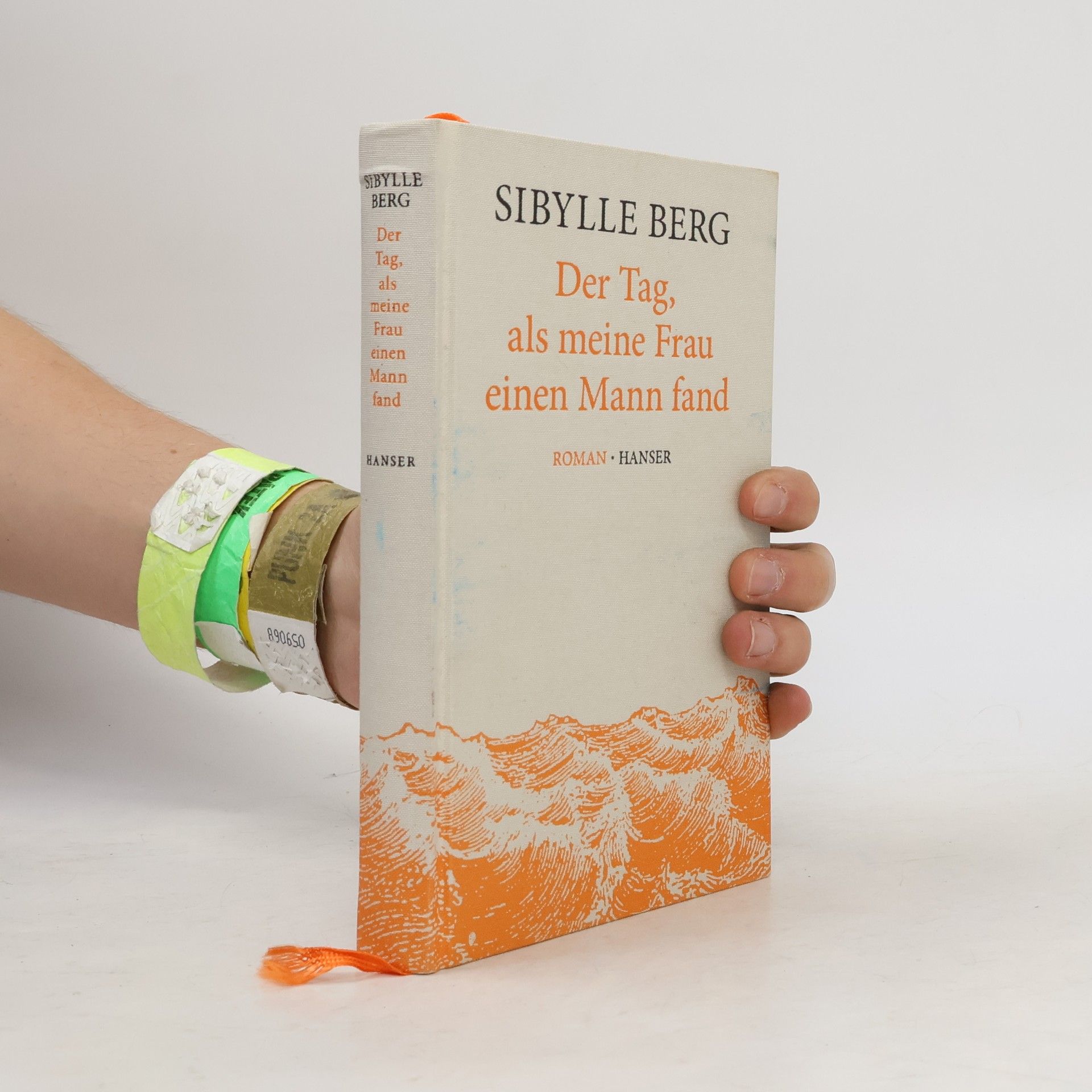 Sibylle Berg Der Tag, als meine Frau einen Mann fand