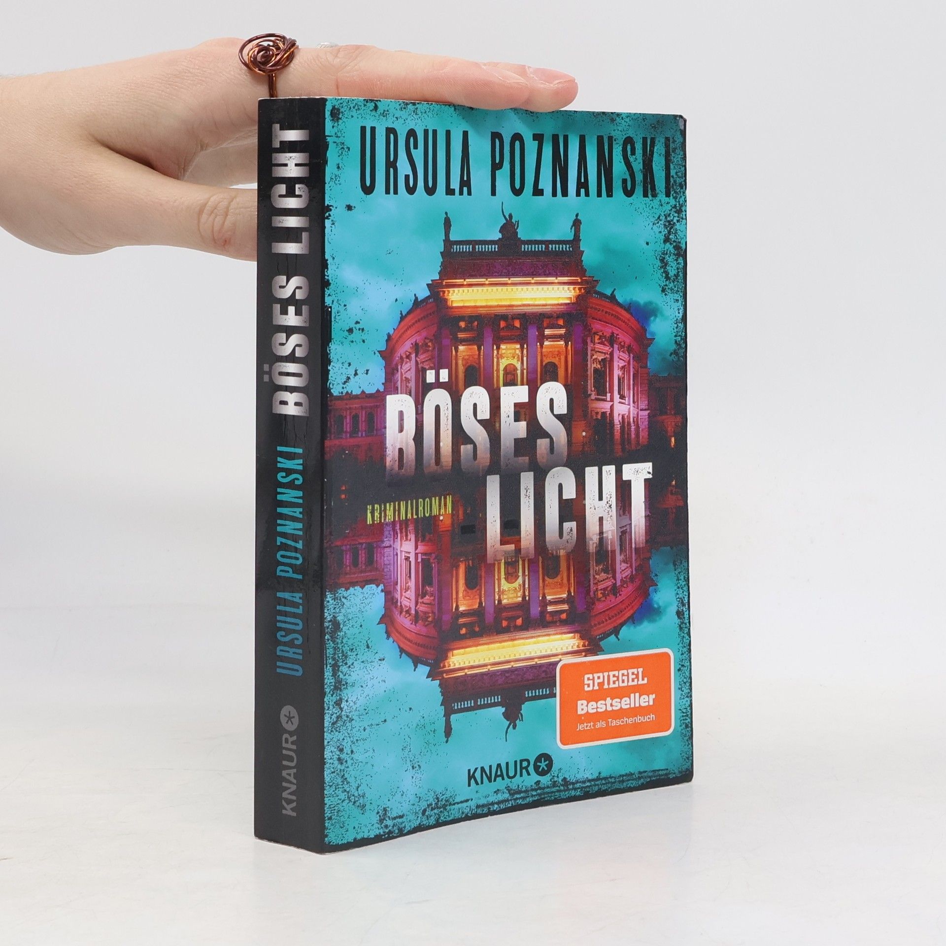 SPIEGEL-Bestseller-Reihe - 2: Böses Licht