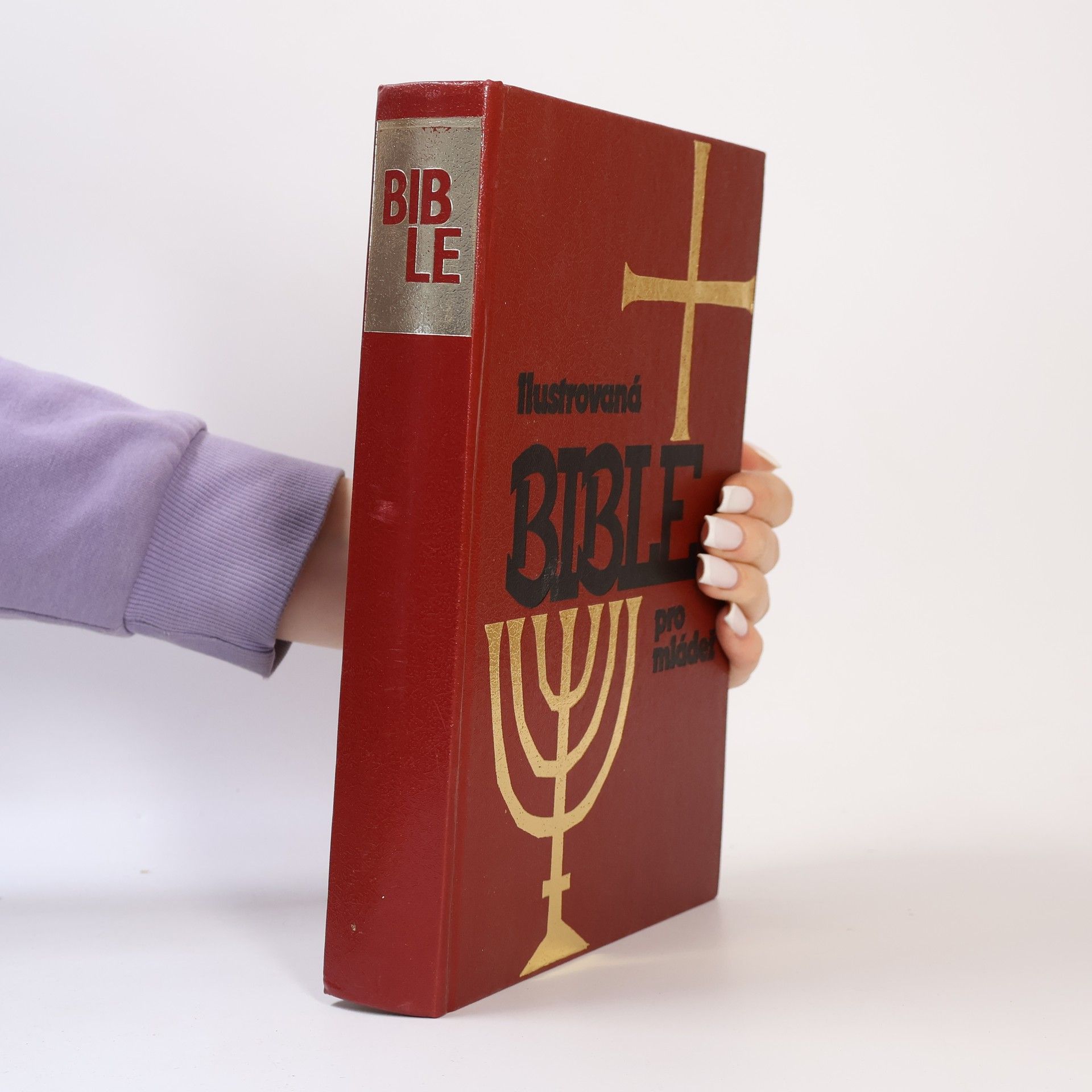 Autorenkollektiv Ilustrovaná Bible pro mládež