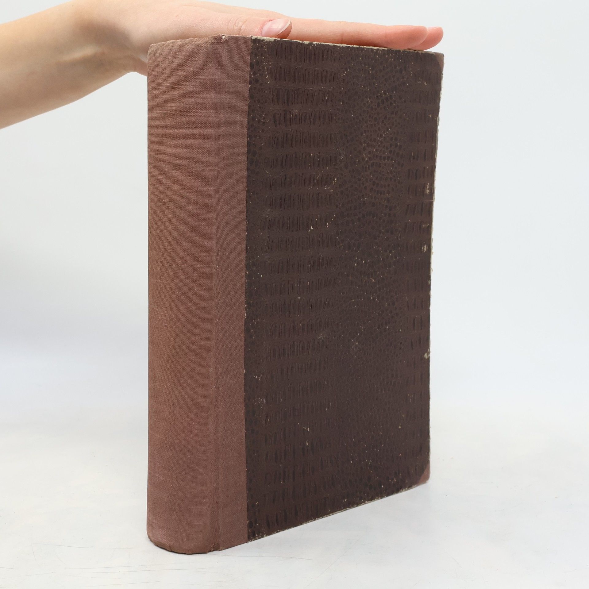 Domenico Meneghini Chimica aplicata ed industriale