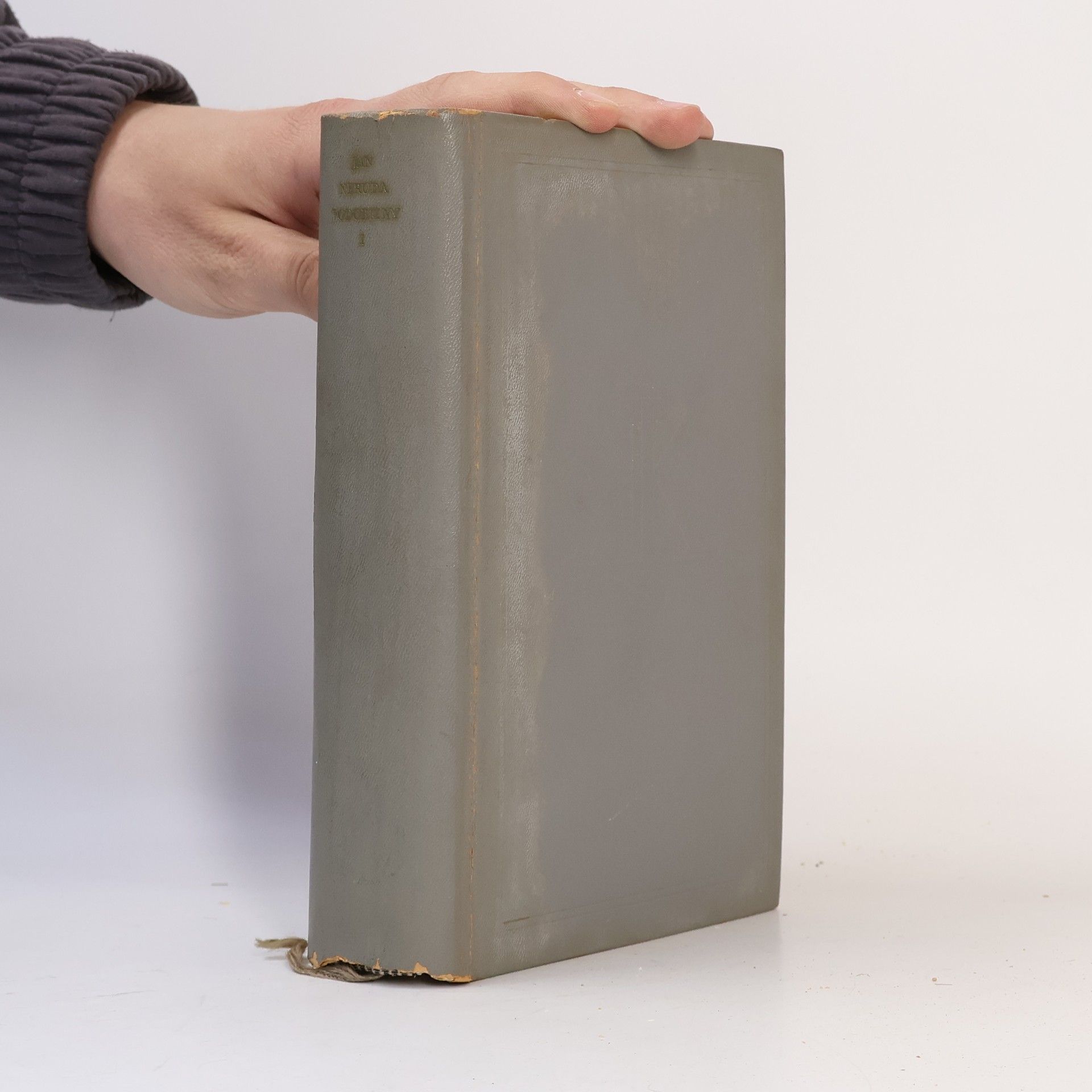 Jan Neruda Podobizny I.