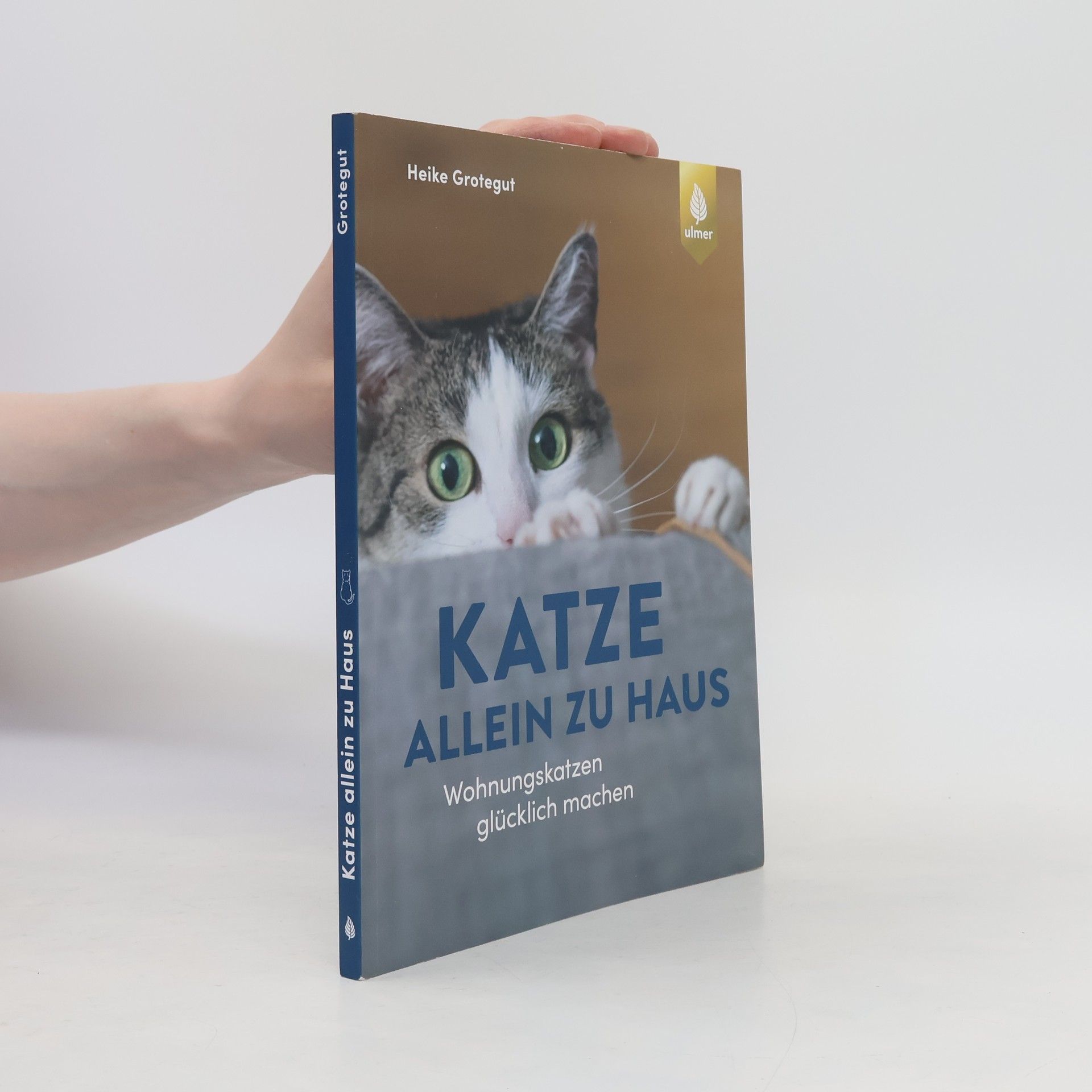 Heike Grotegut Katze allein zu Haus