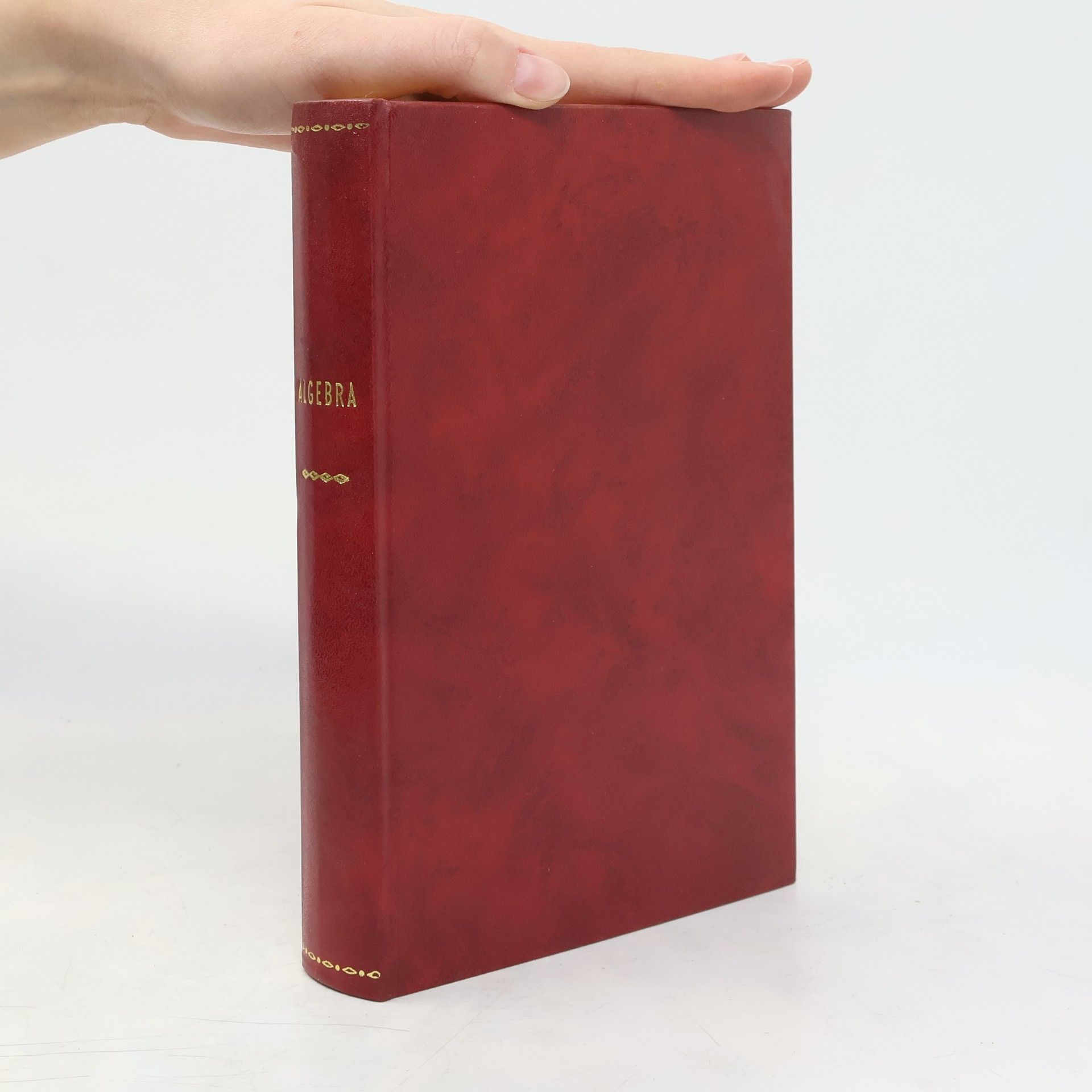 Kolektiv autorů Algebra