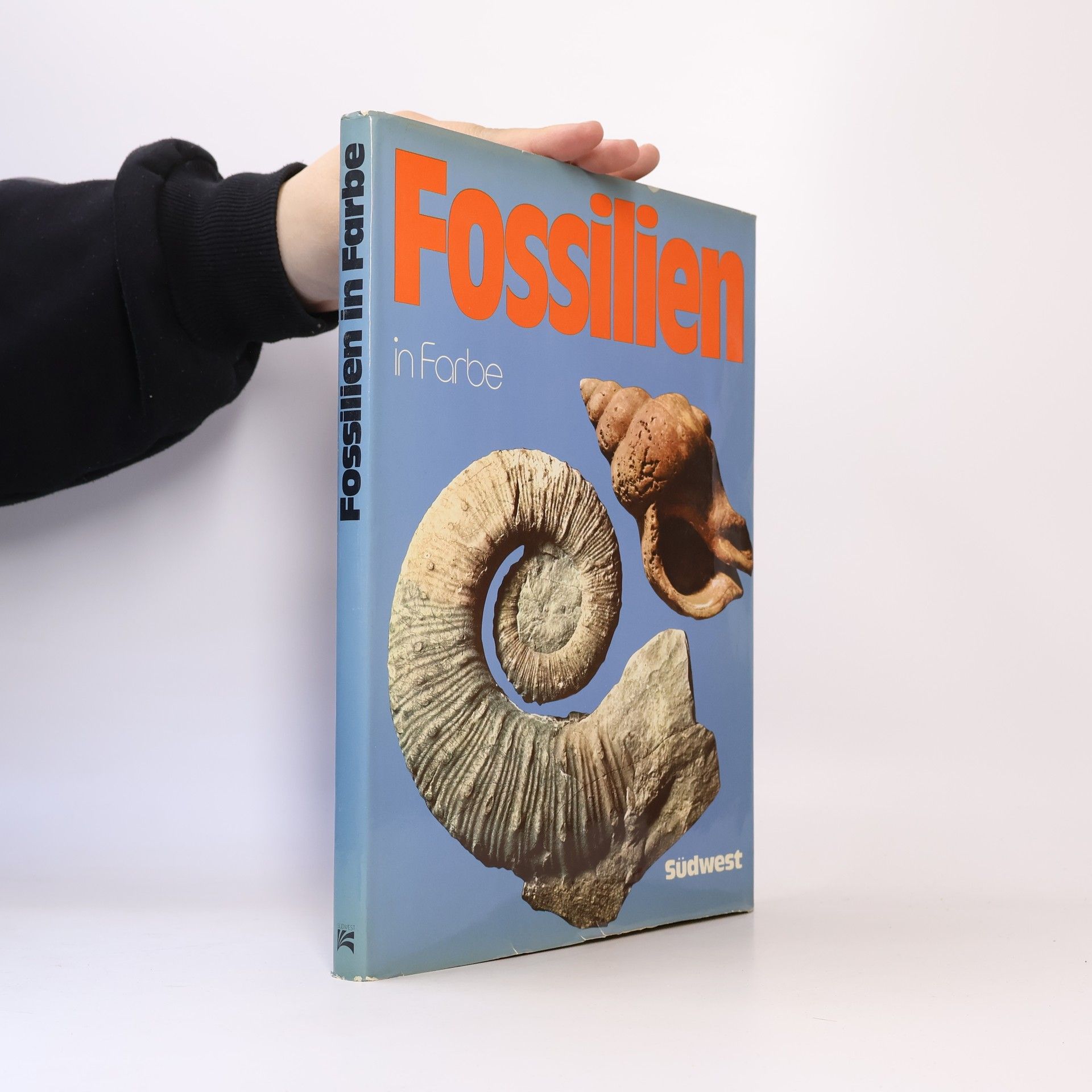 Giovanni Pinna Fossilien in Farbe