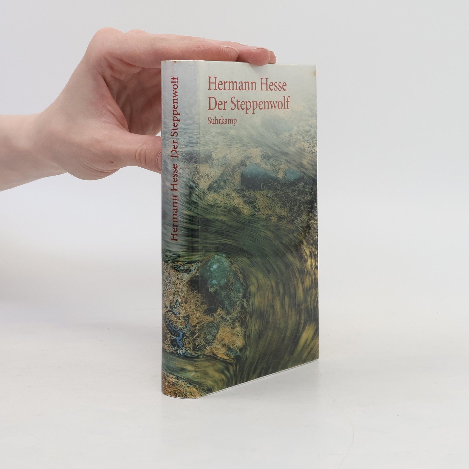 Hermann Hesse Der Steppenwolf