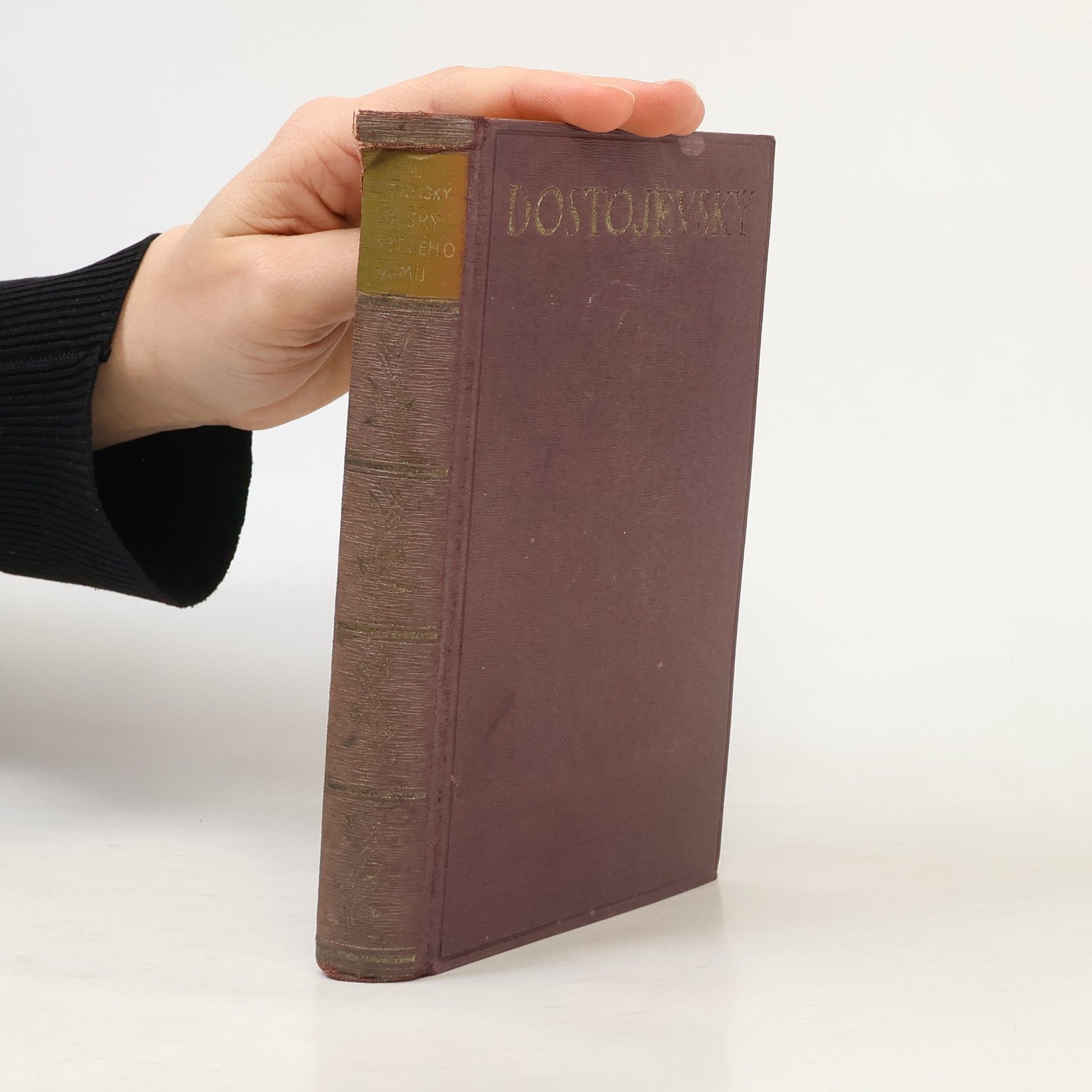 Fyodor Dostoyevsky Zápisky z mrtvého domu
