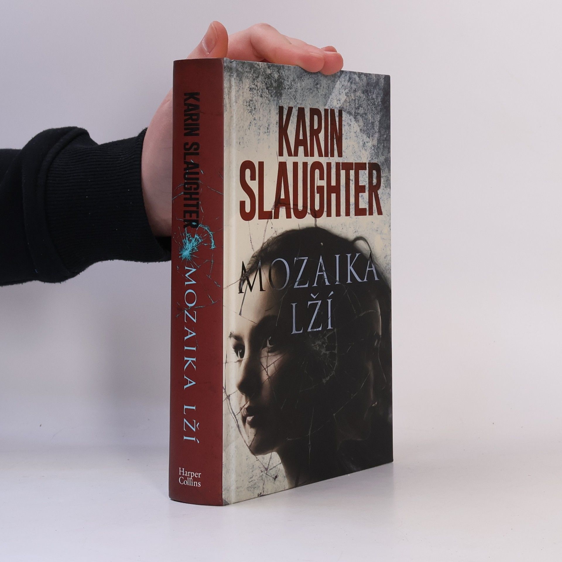 Karin Slaughter Mozaika lží