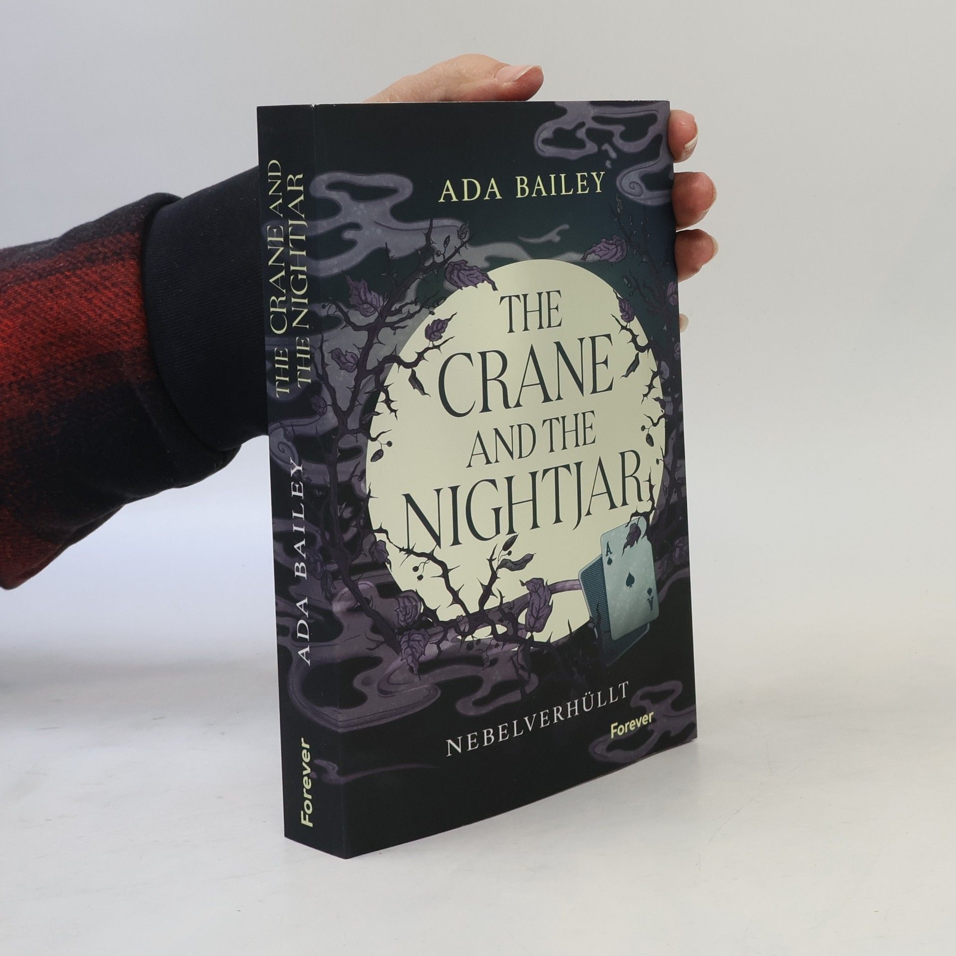 Ada Bailey The Crane and the Nightjar
