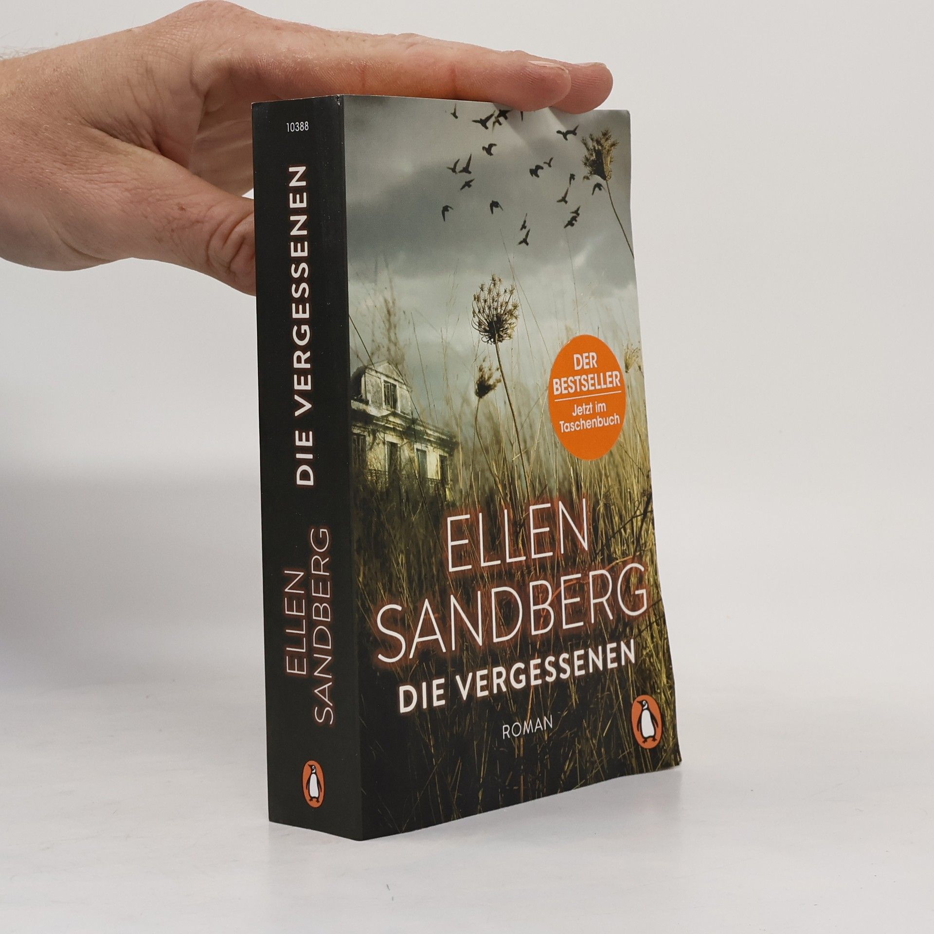 Ellen Sandberg Die Vergessenen