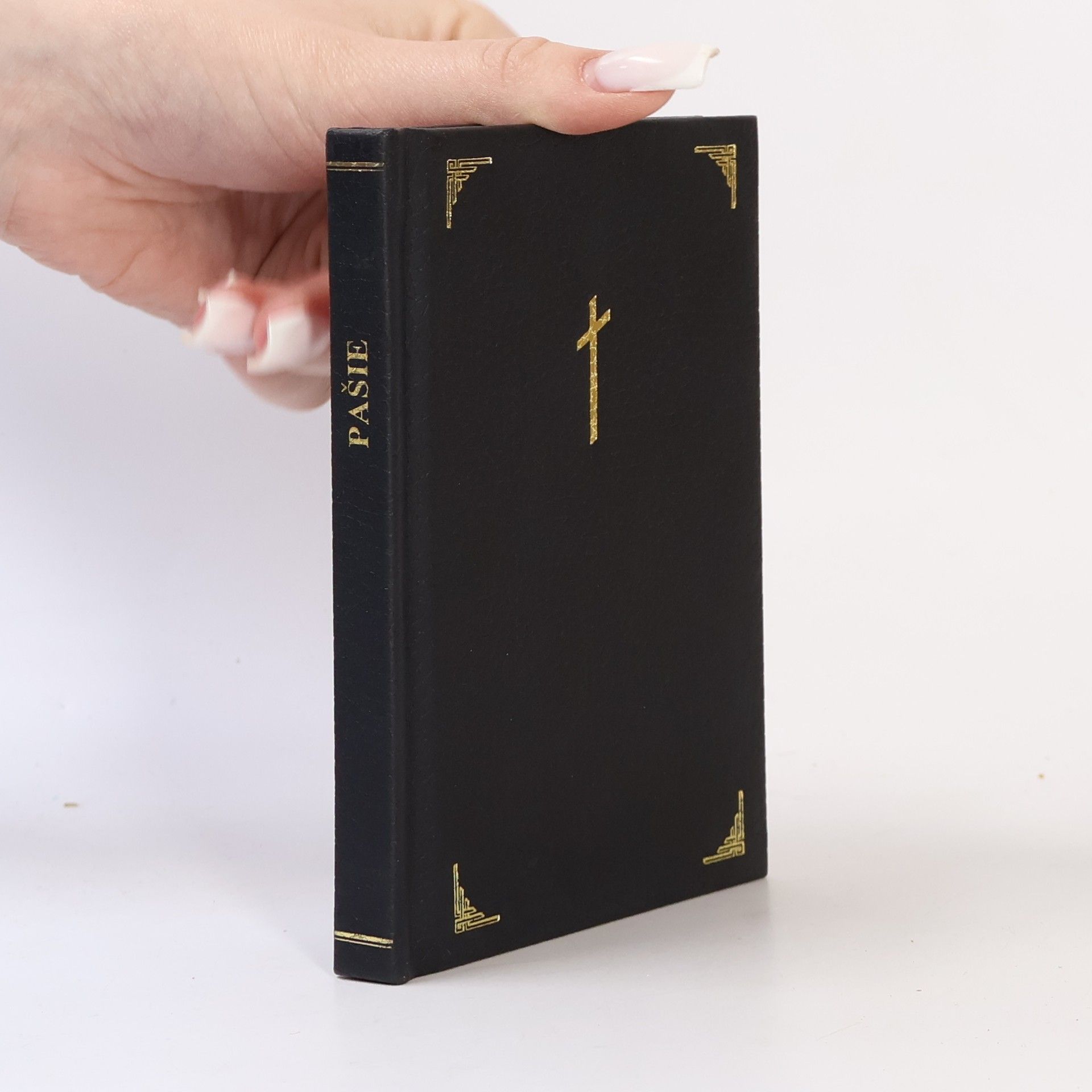 Autorenkollektiv Pašie