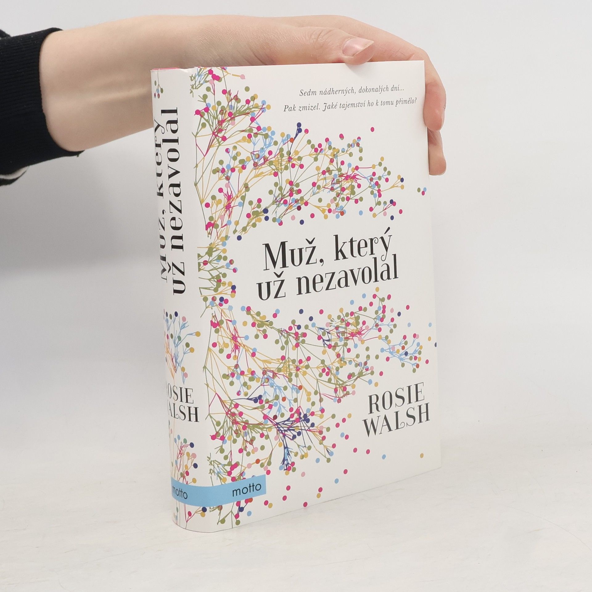 Rosie Walsh Muž, který už nezavolal