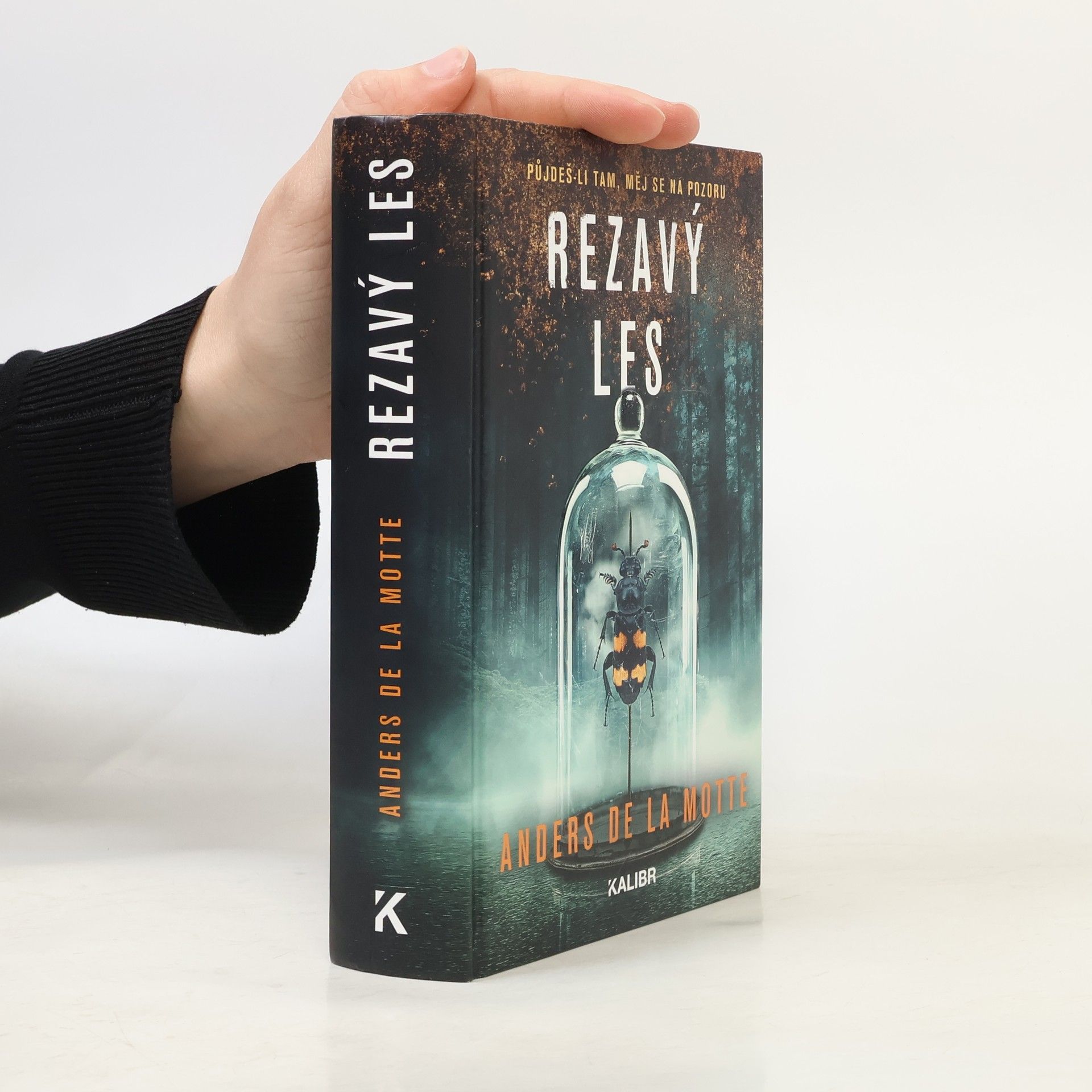 Anders de la Motte Rezavý les