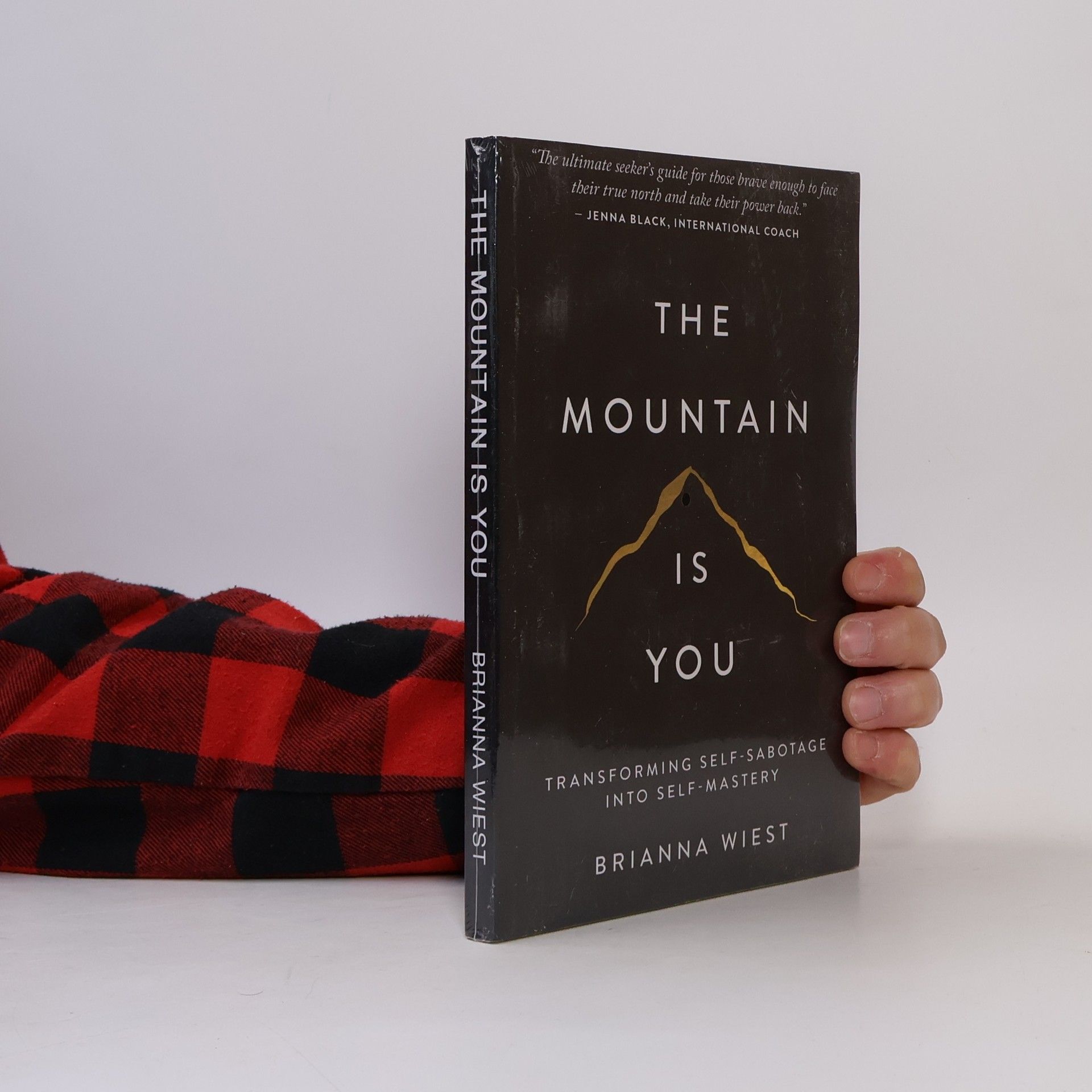 Brianna Wiest The Mountain Is You