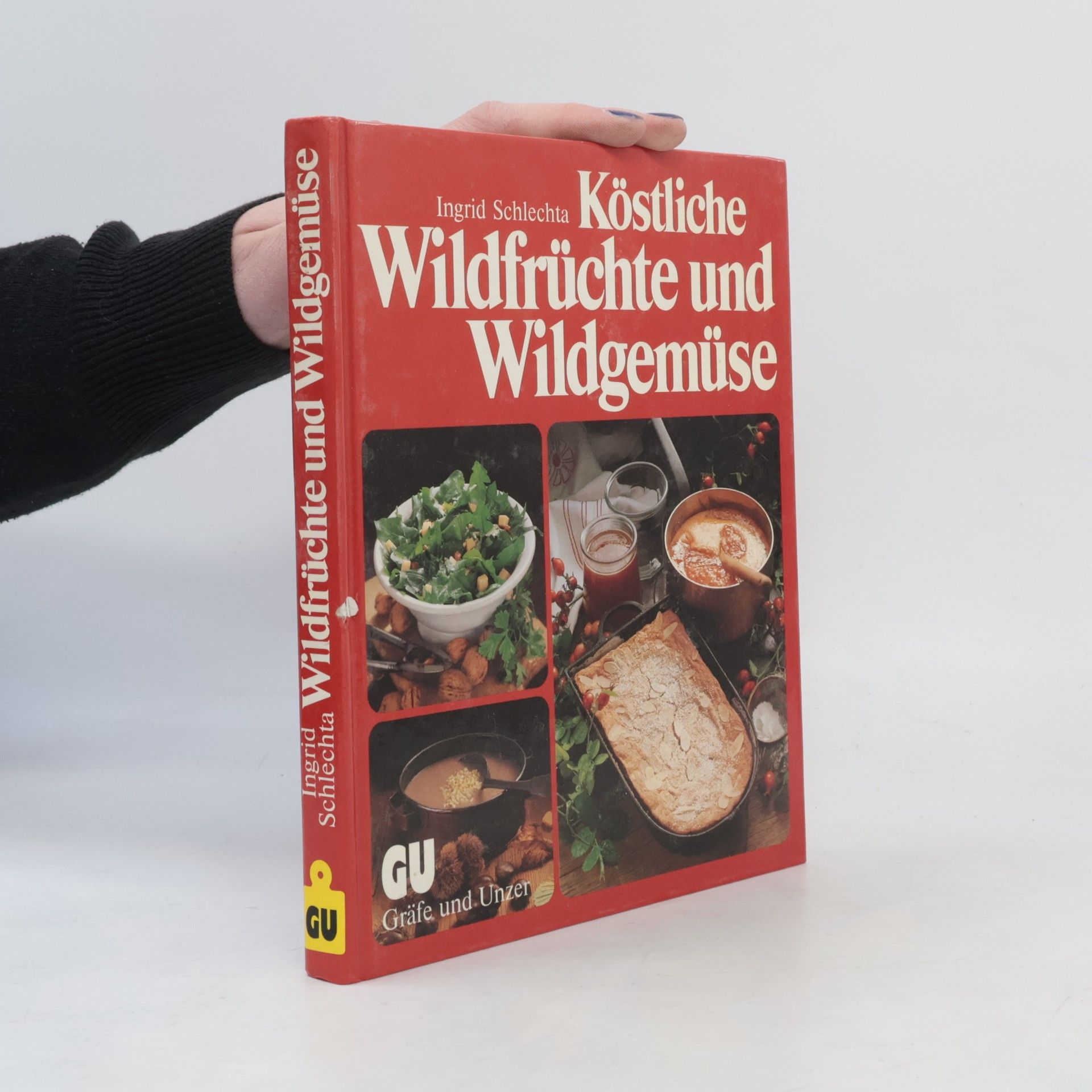 Ingrid Schlechta Köstliche Wildfrüchte und Wildgemüse