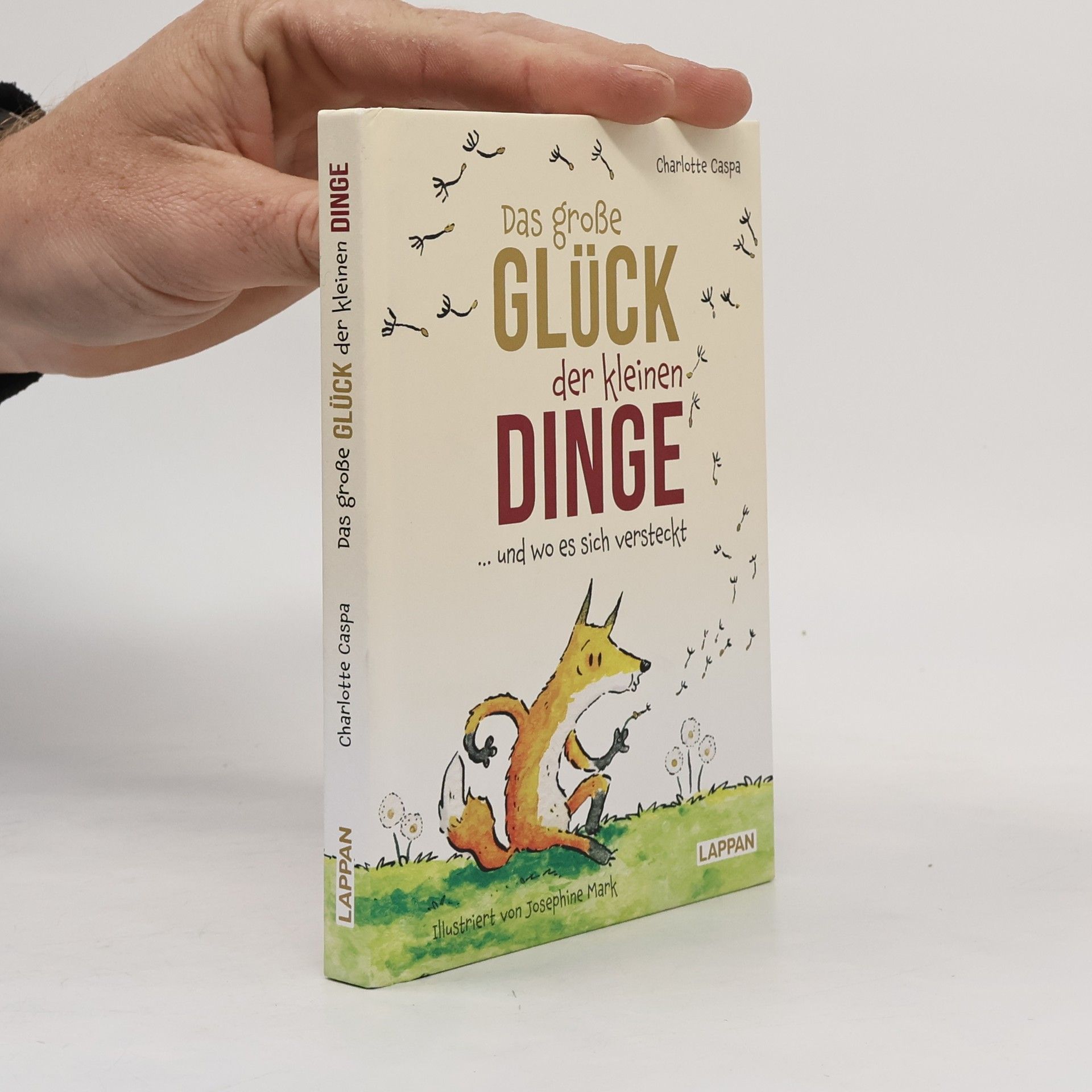 Charlotte Caspa Das große Glück der kleinen Dinge ... und wo es sich versteckt