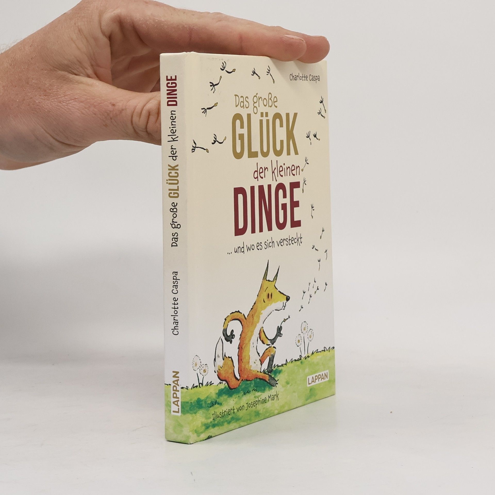 Charlotte Caspa Das große Glück der kleinen Dinge ... und wo es sich versteckt