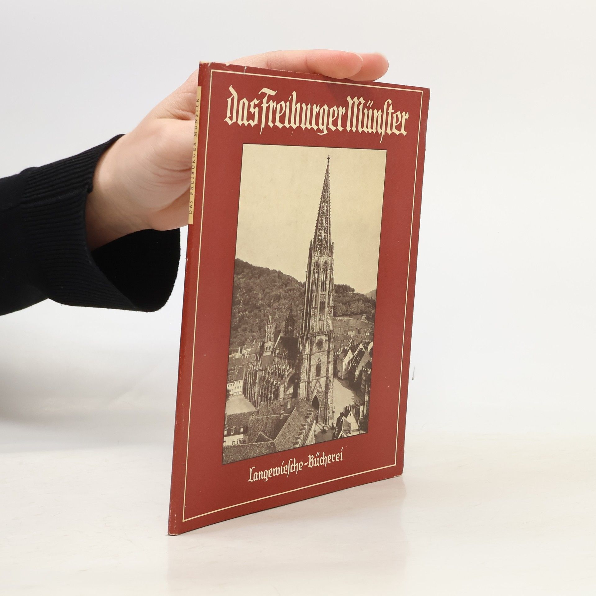 Kolektiv autorů Das Freiburger Münster