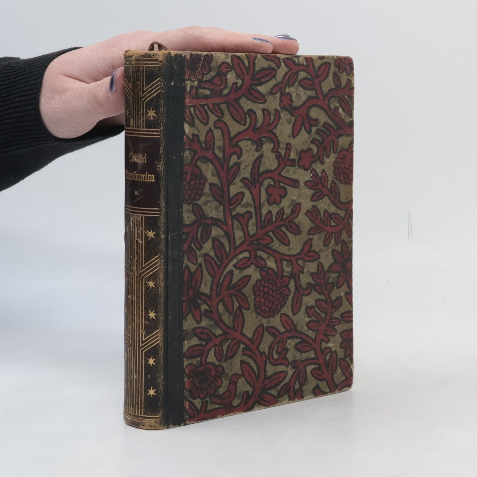 Léon Tolstoï Anna Karenina 1