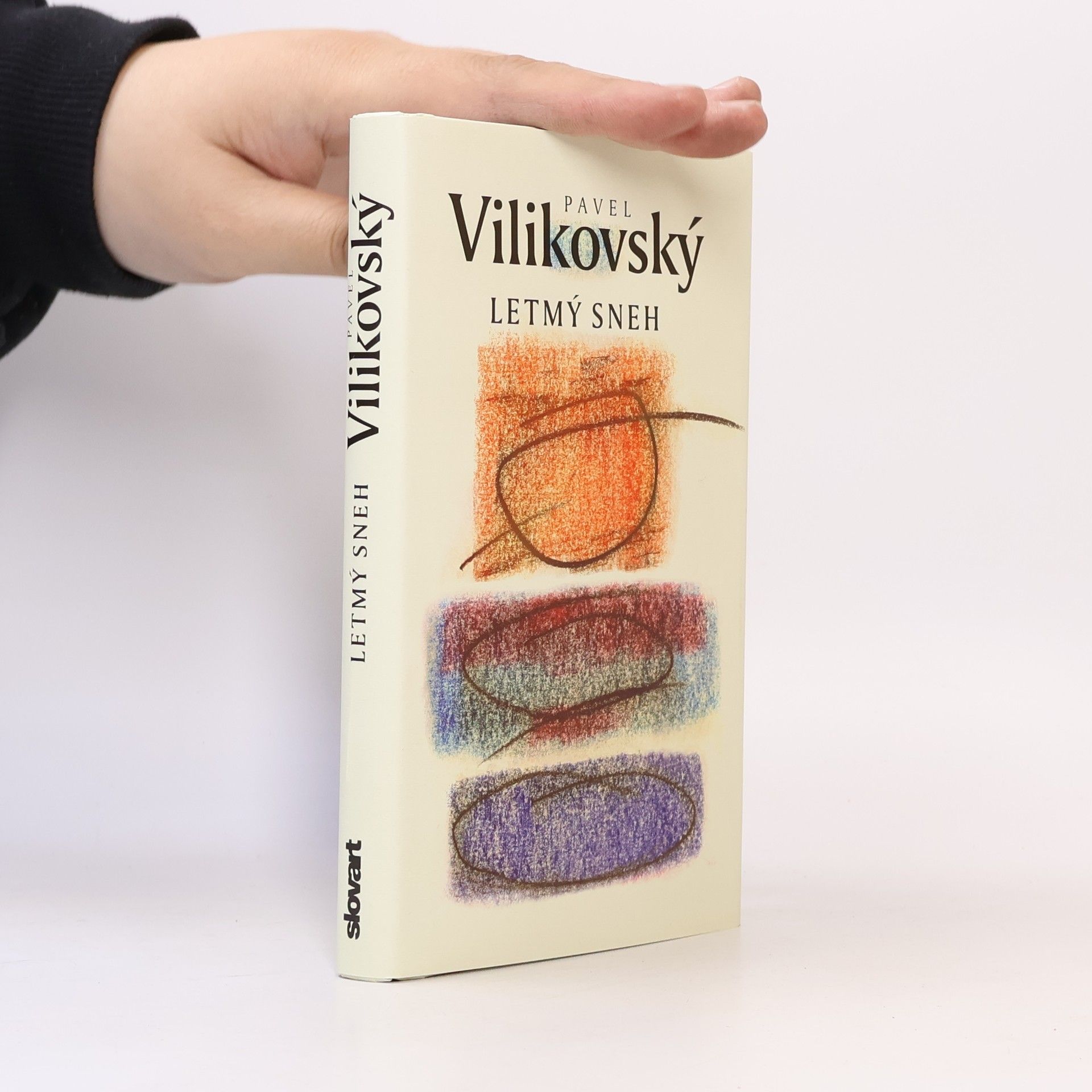 Pavel Vilikovský Letmý sneh