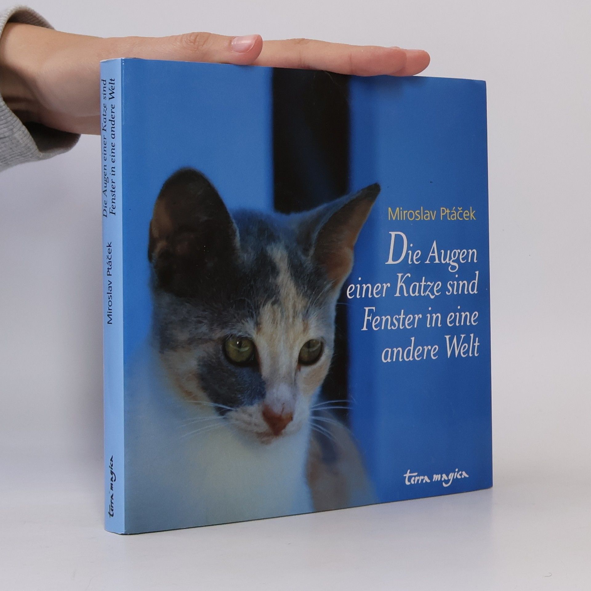 Miroslav Ptáček Die Augen einer Katze sind Fenster in eine andere Welt