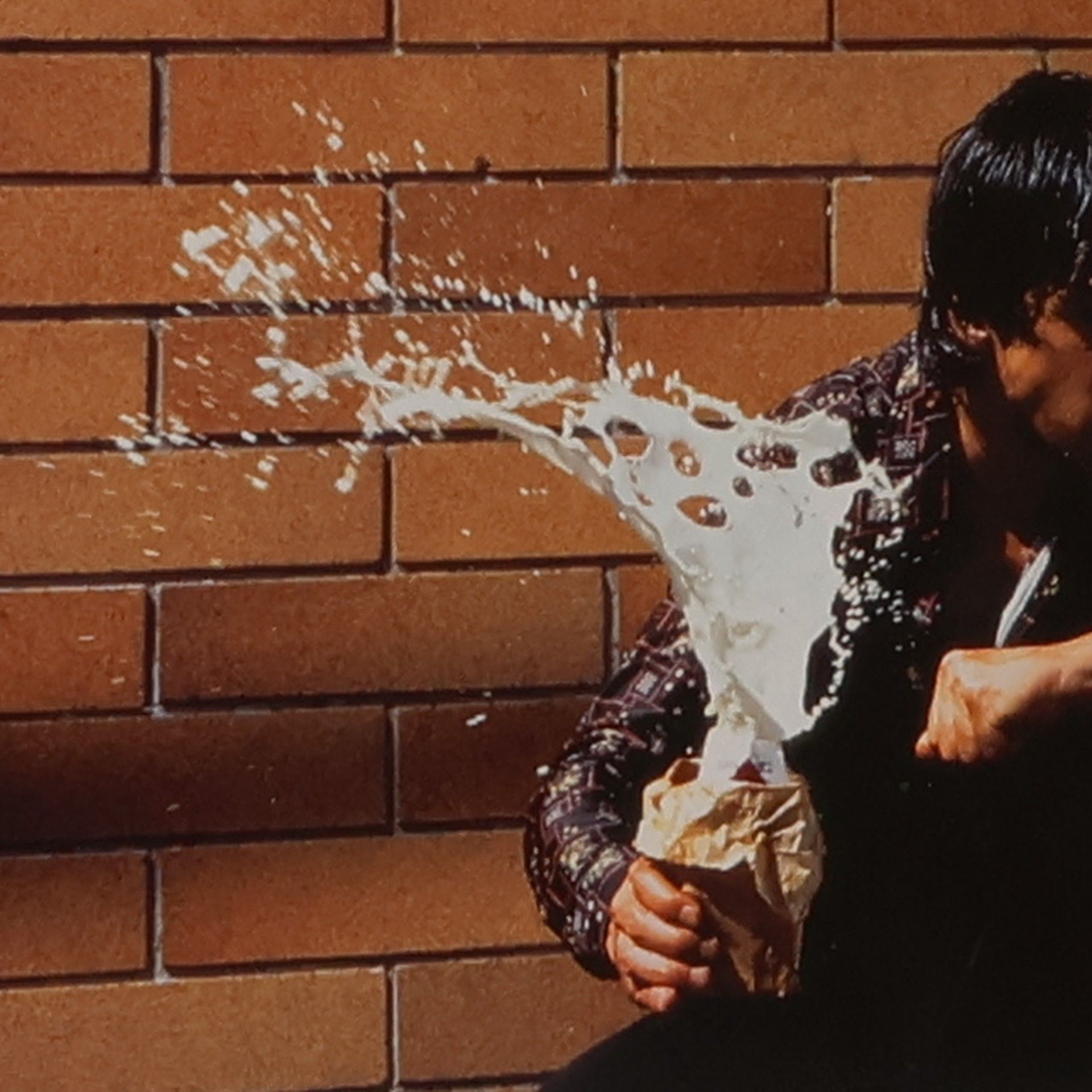 Reinhold Mißelbeck Prestel-Lexikon der Fotografen