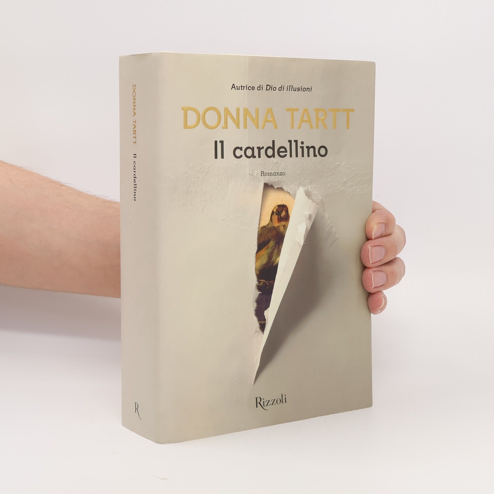 Donna Tartt Il cardellino