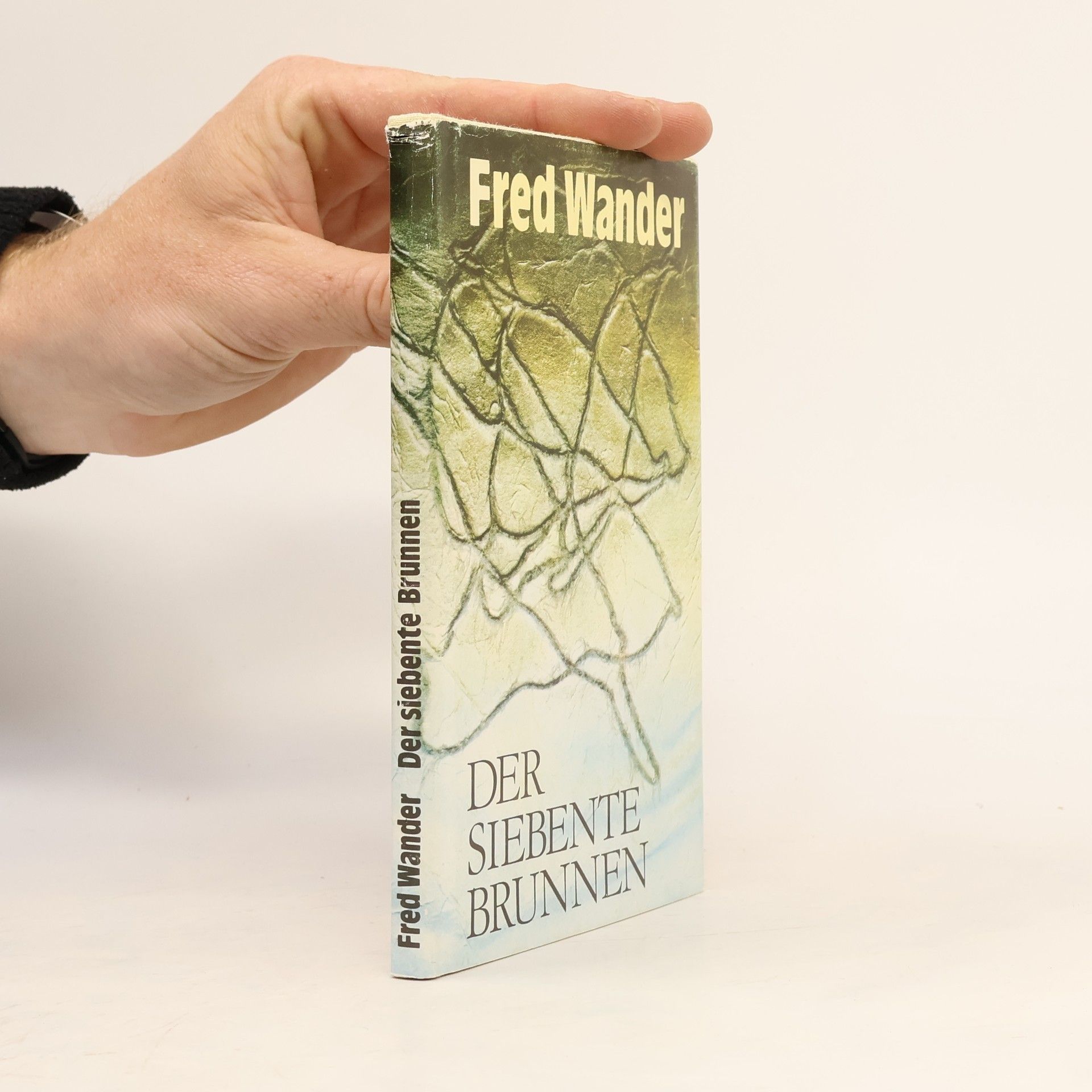 Fred Wander Der siebente Brunnen